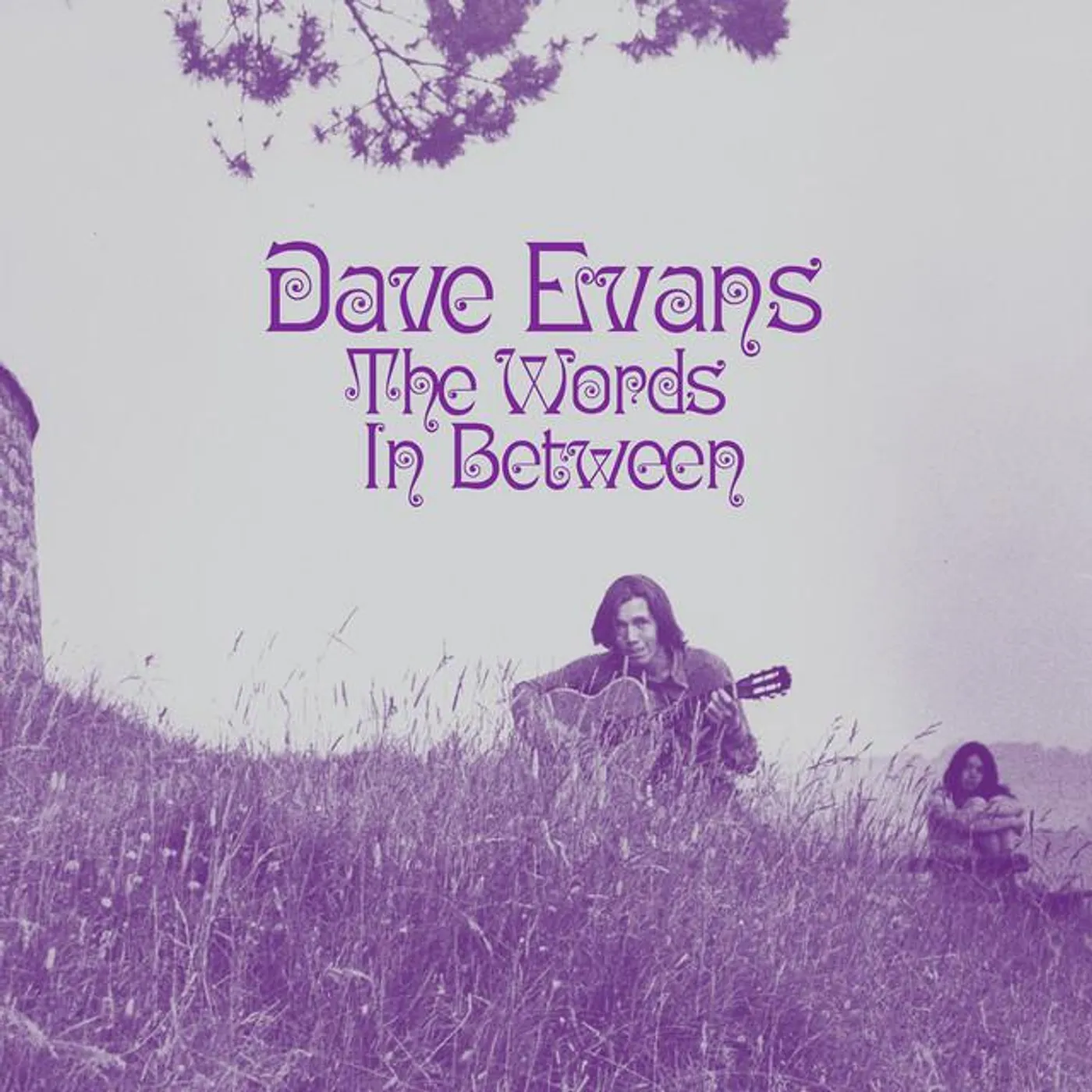 Dave Evans