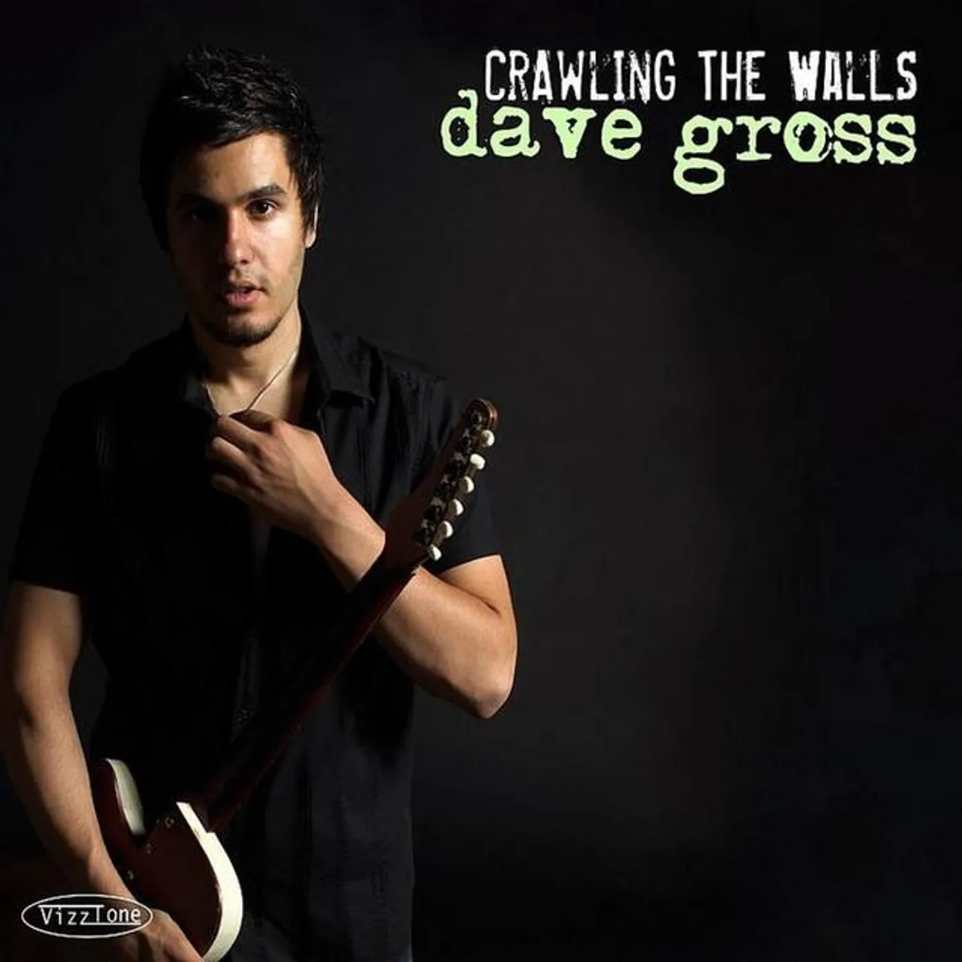 Dave Gross Brand Page