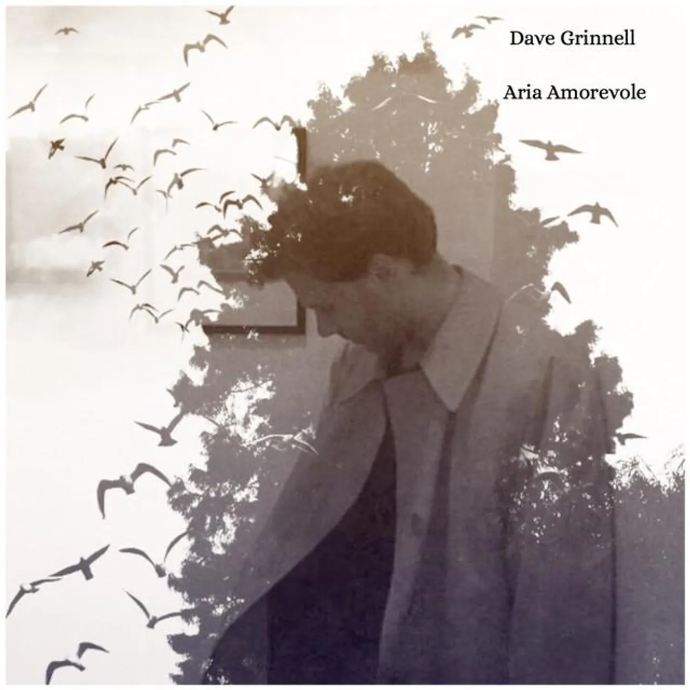 Dave Grinnell Brand Page