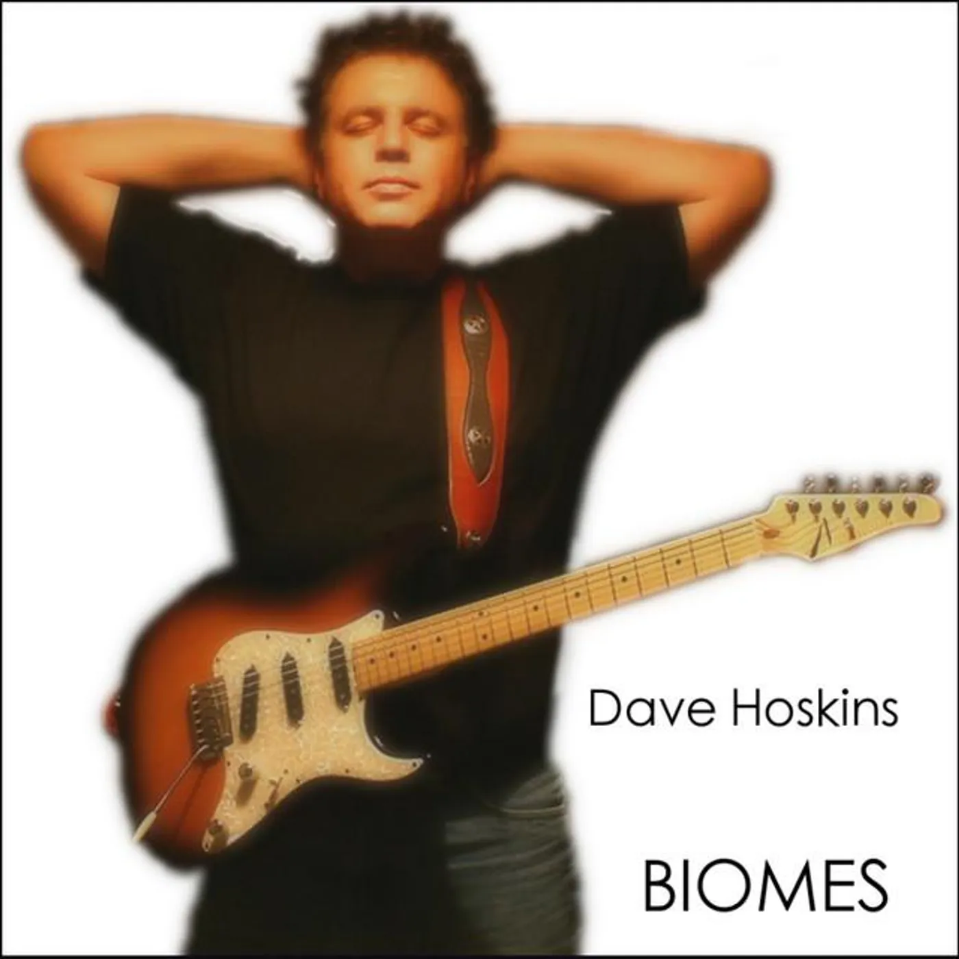 Dave Hoskins Brand Page