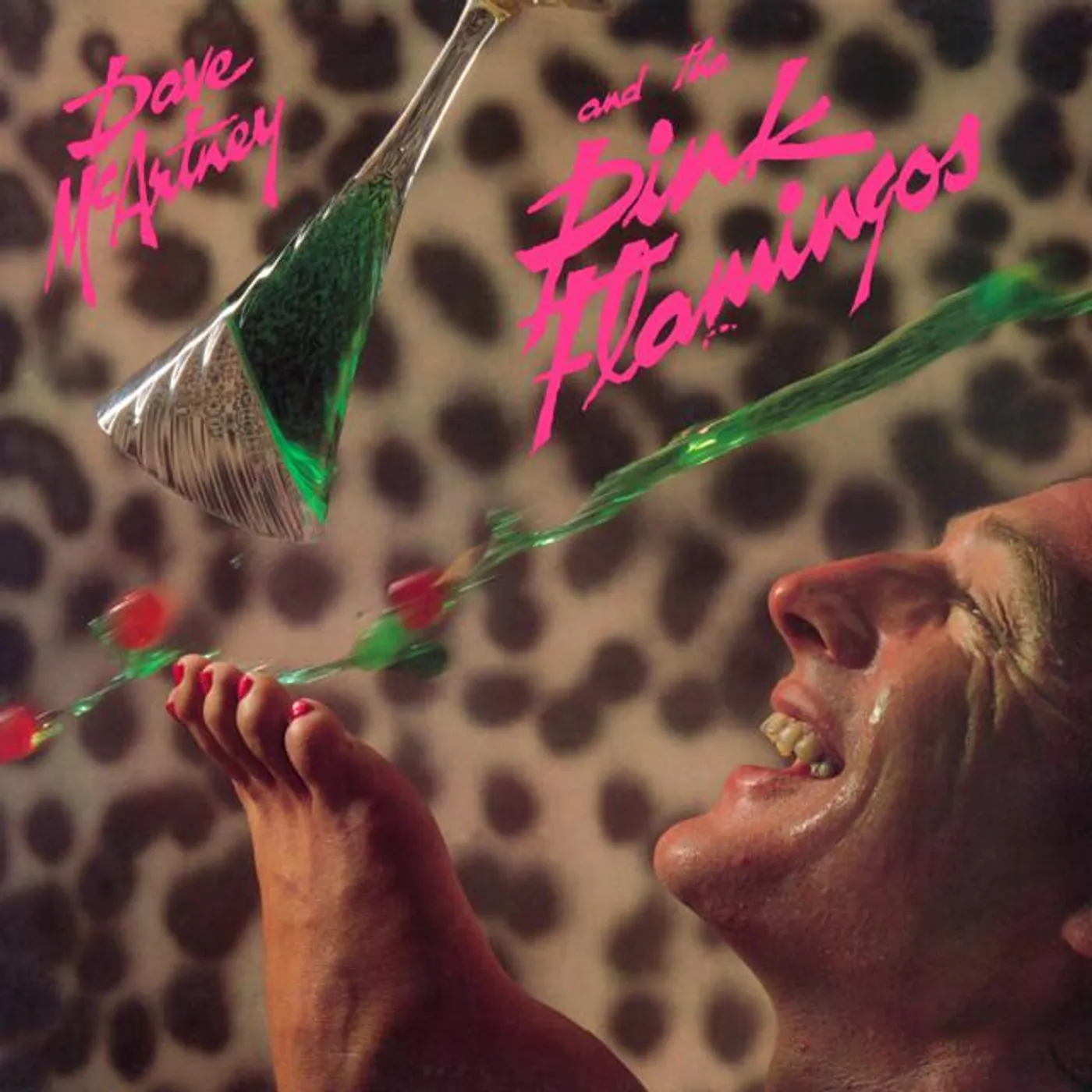 Dave McArtney and The Pink Flamingos Brand Page
