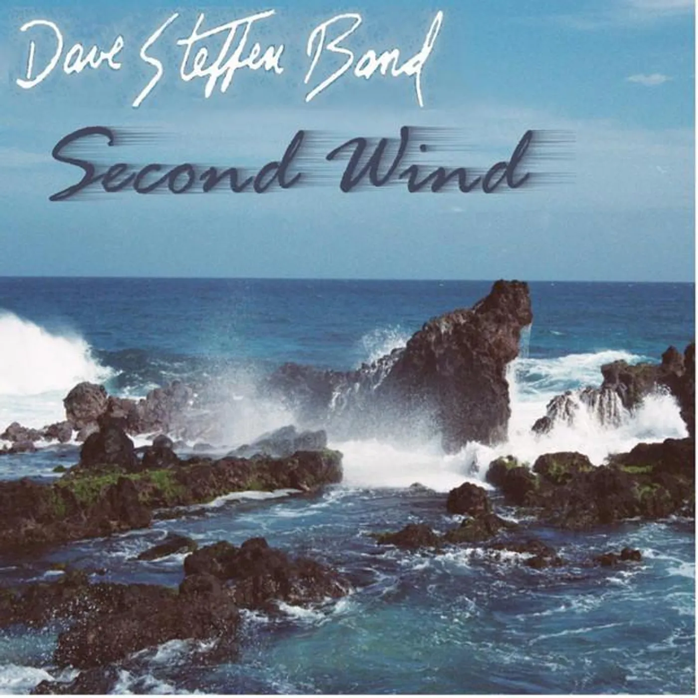 Dave Steffen Band Brand Page