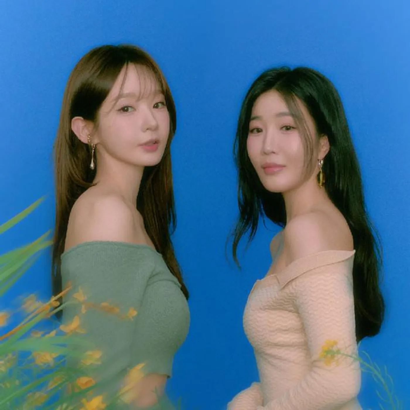 DAVICHI Brand Page