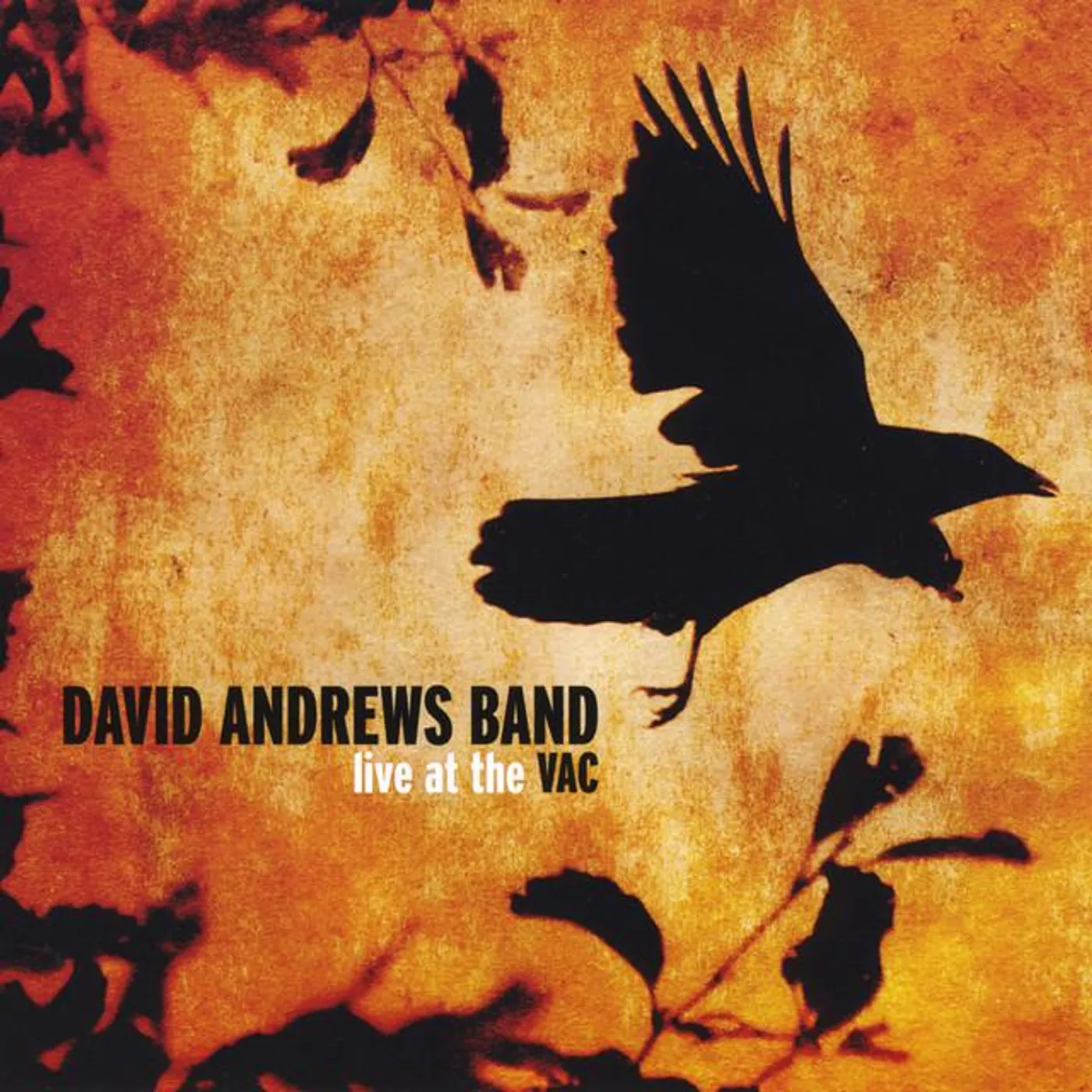 David Andrews Band Brand Page