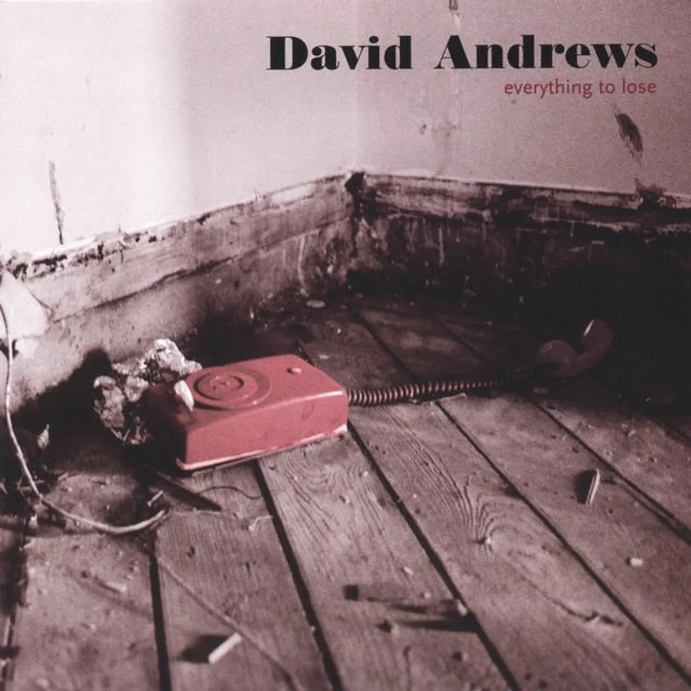 David Andrews