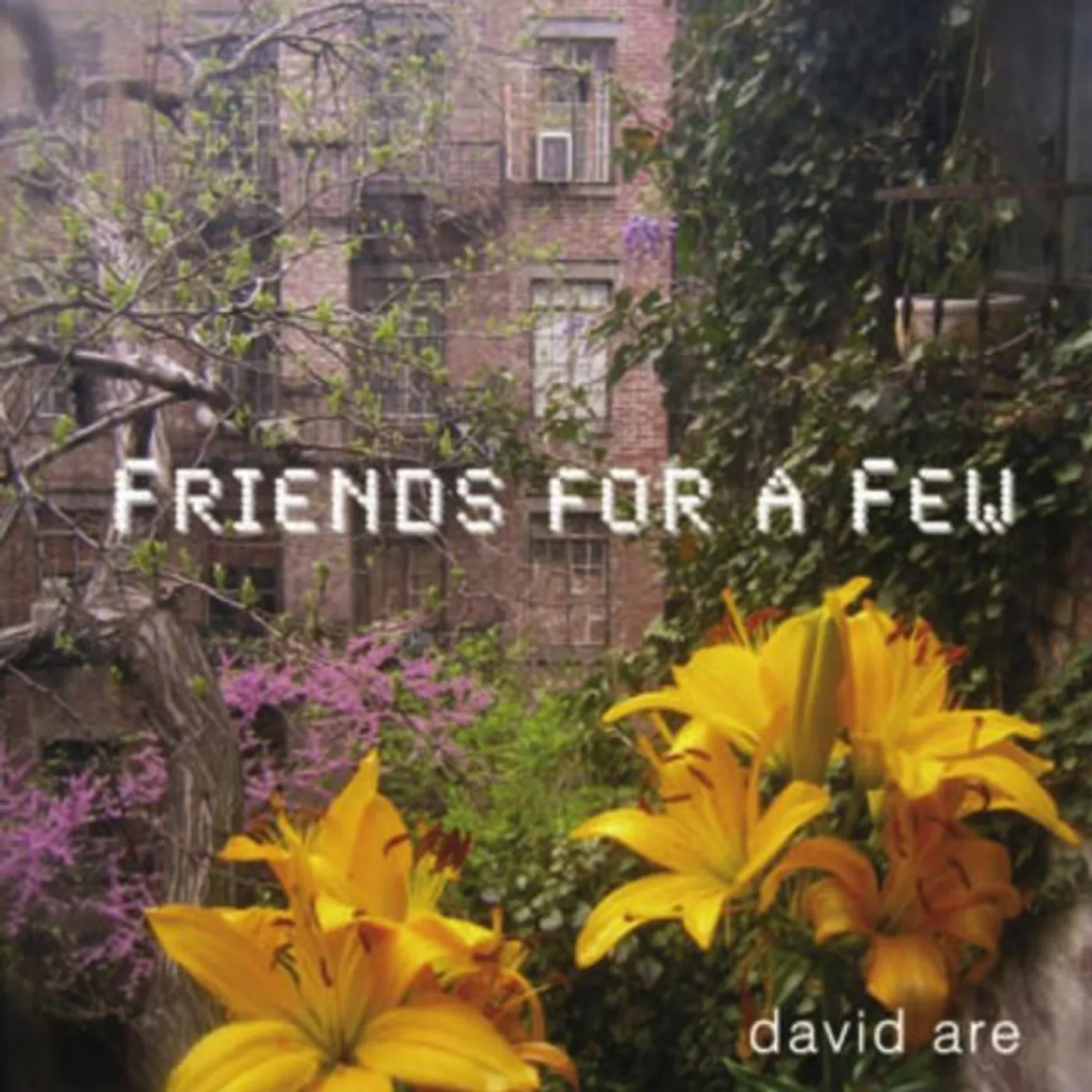 David Are