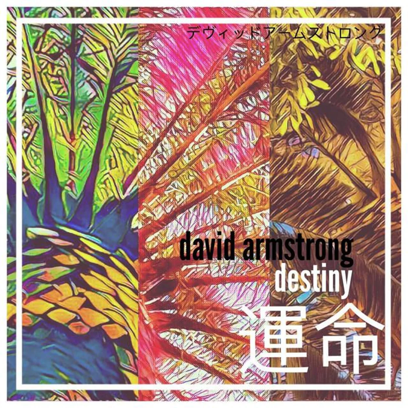 David Armstrong