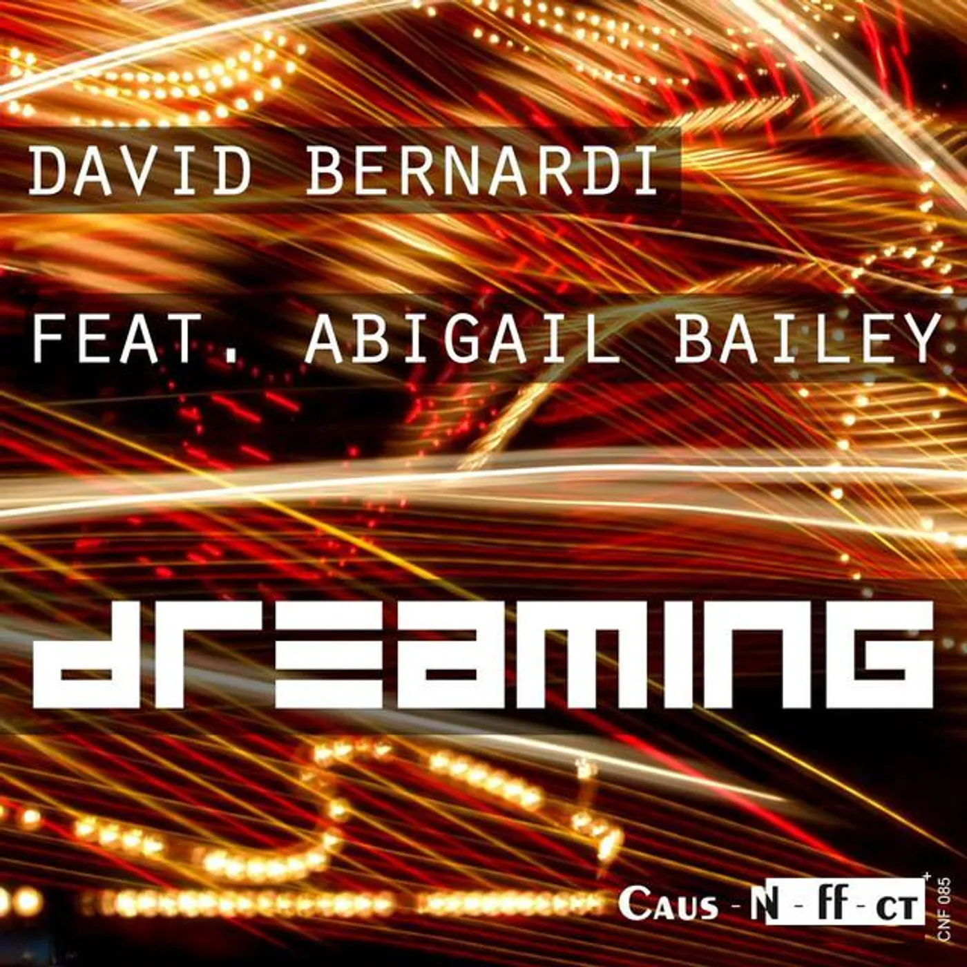 David Bernardi Brand Page