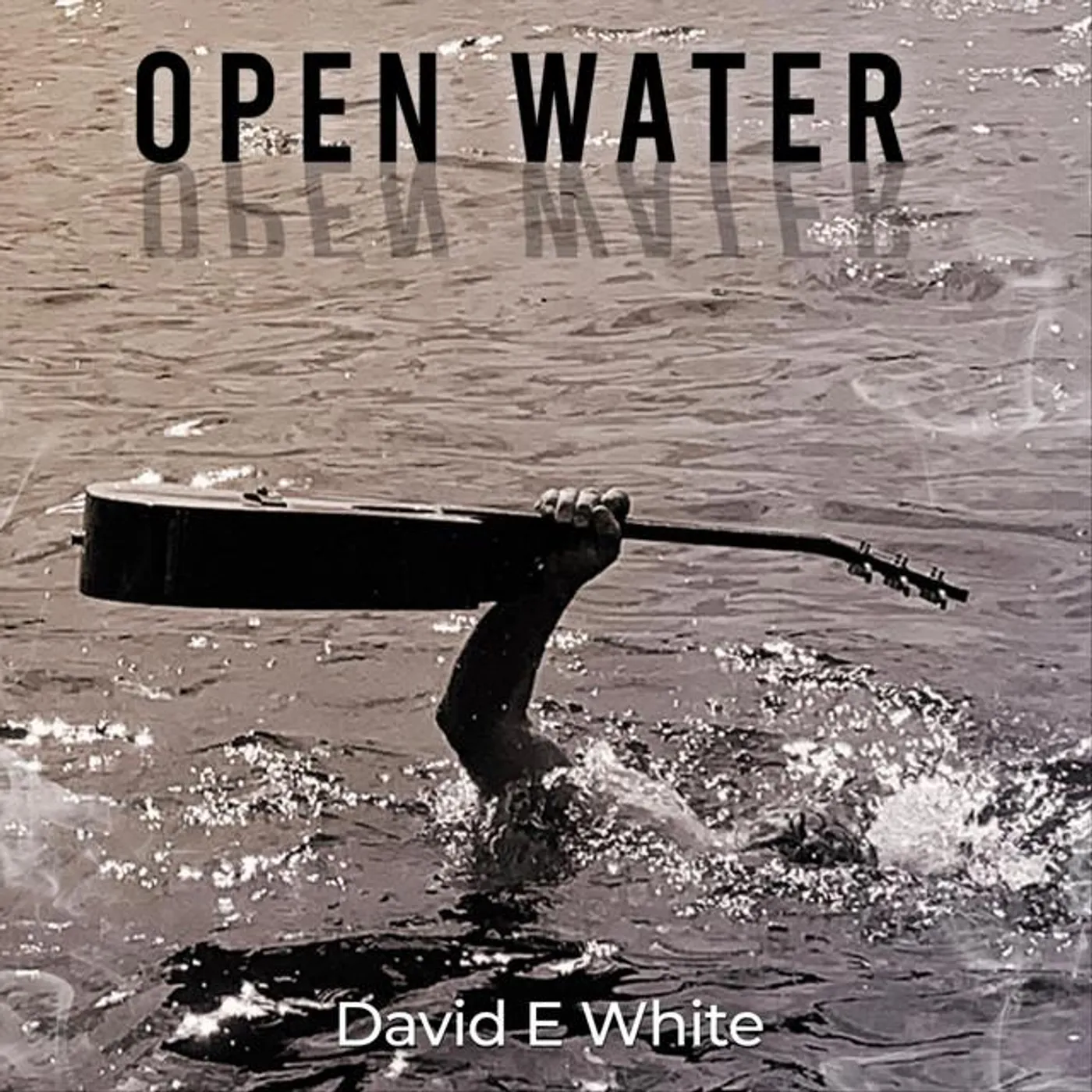 David E White