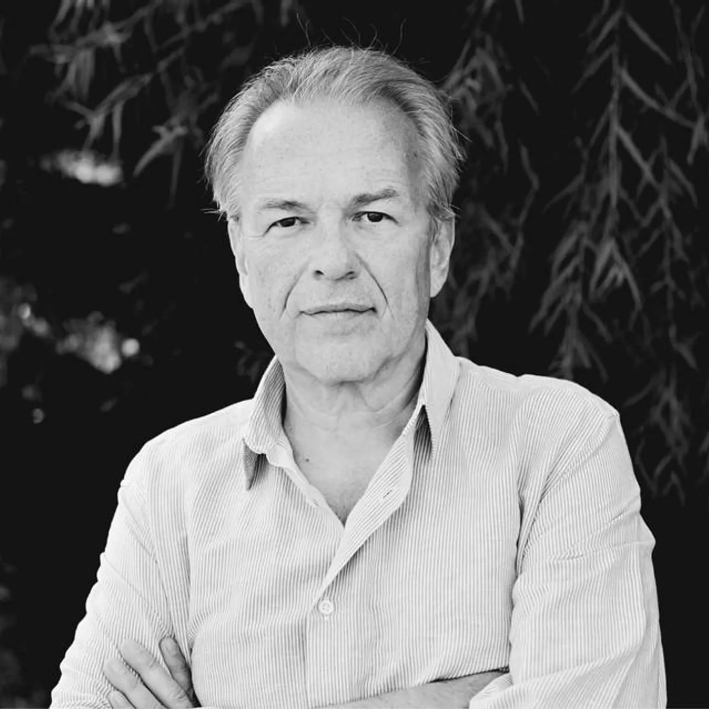 David Hazeltine Brand Page