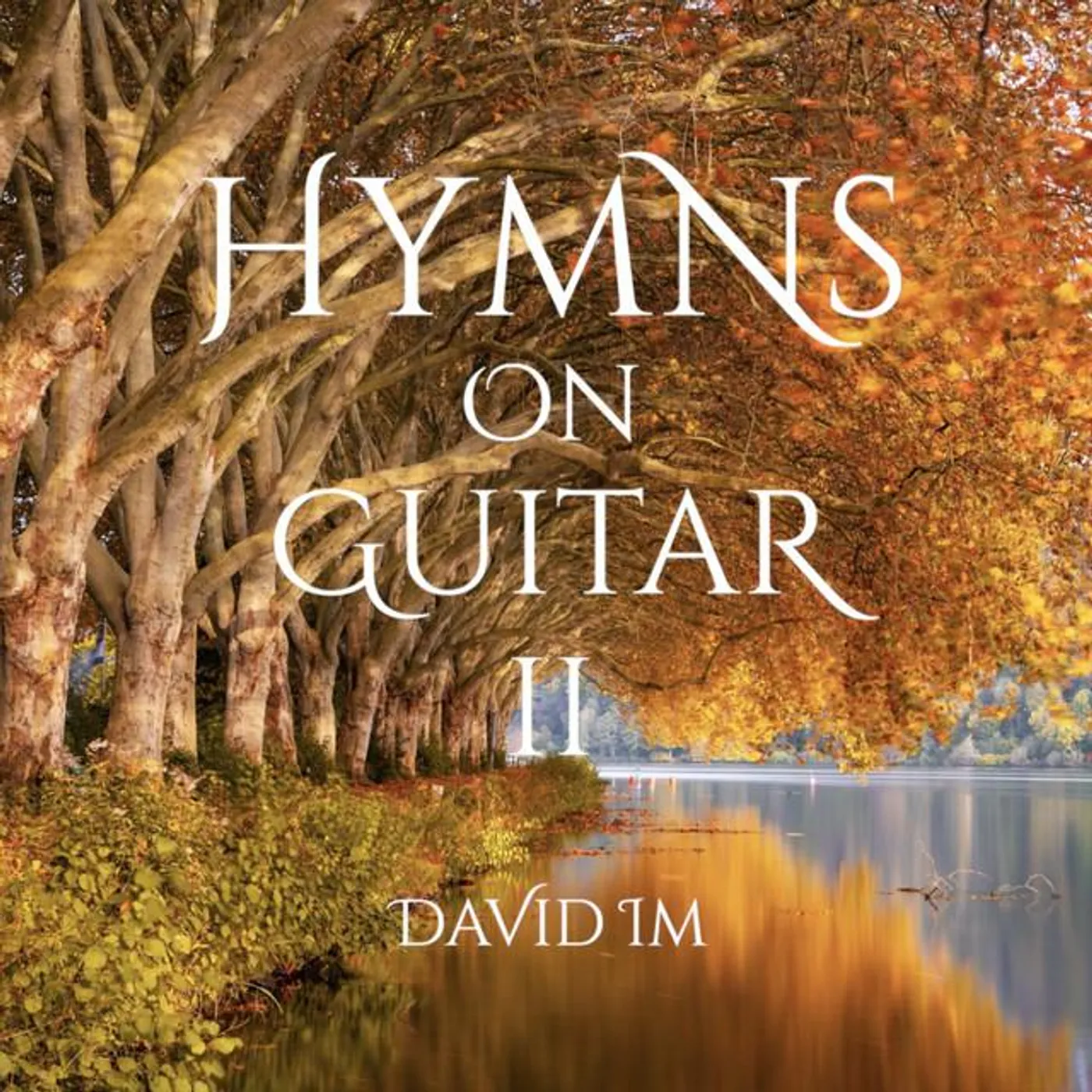 David Im Brand Page