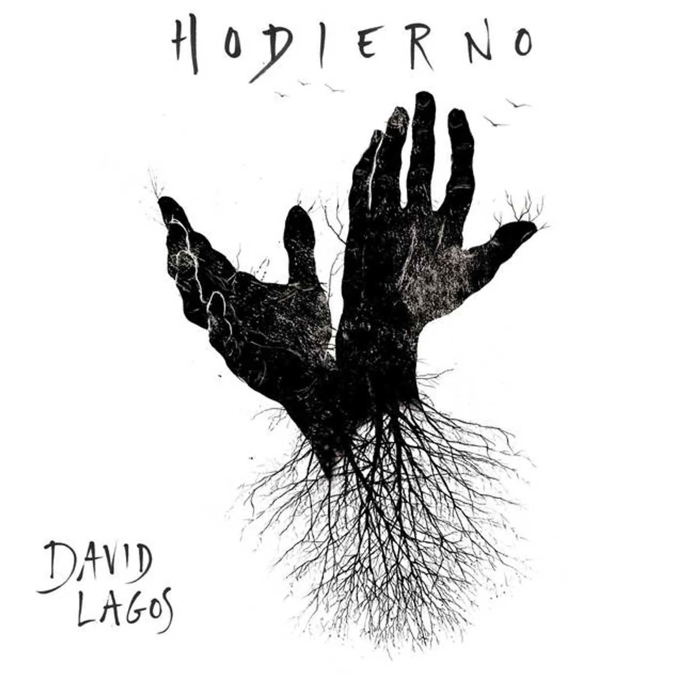 David Lagos Brand Page