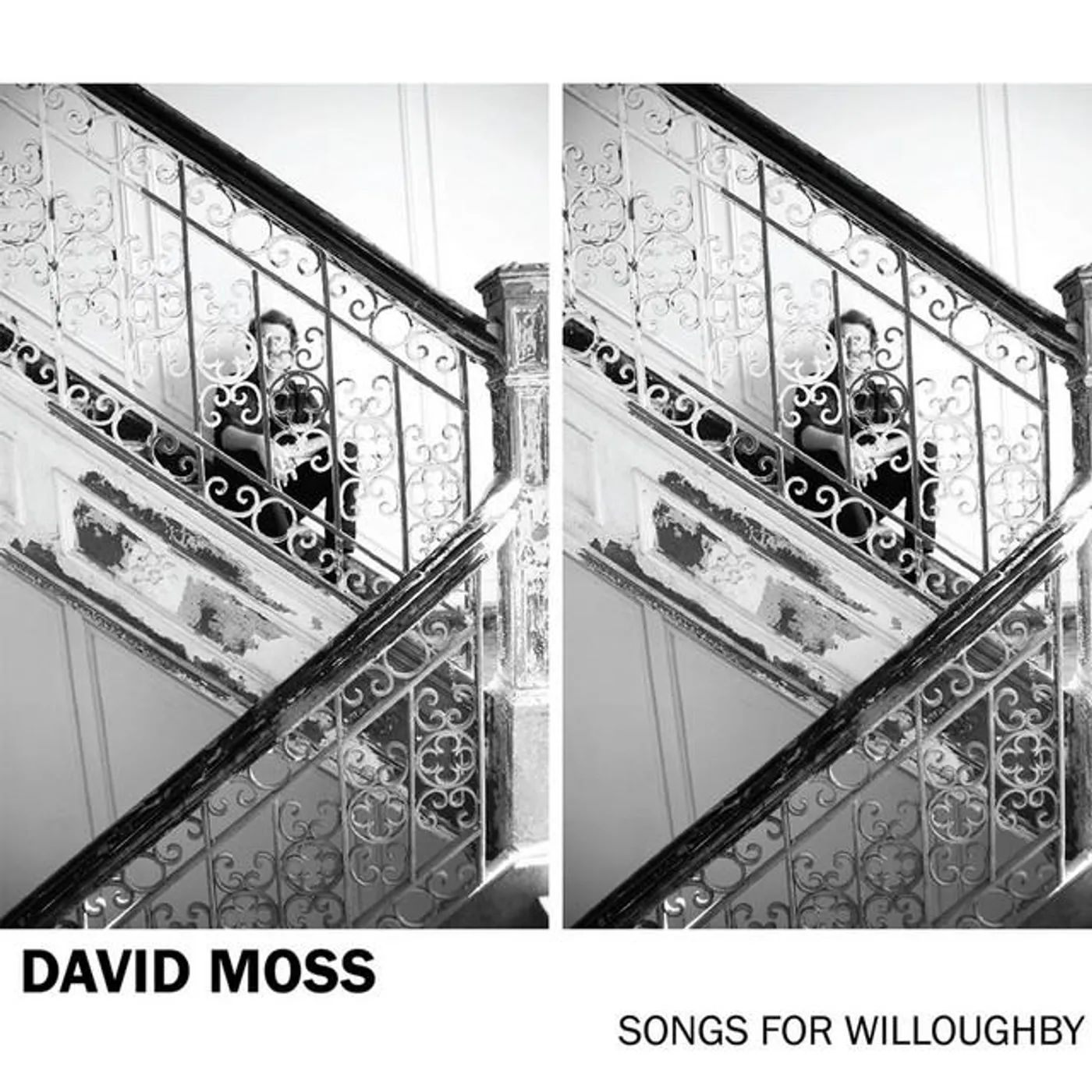 David Moss