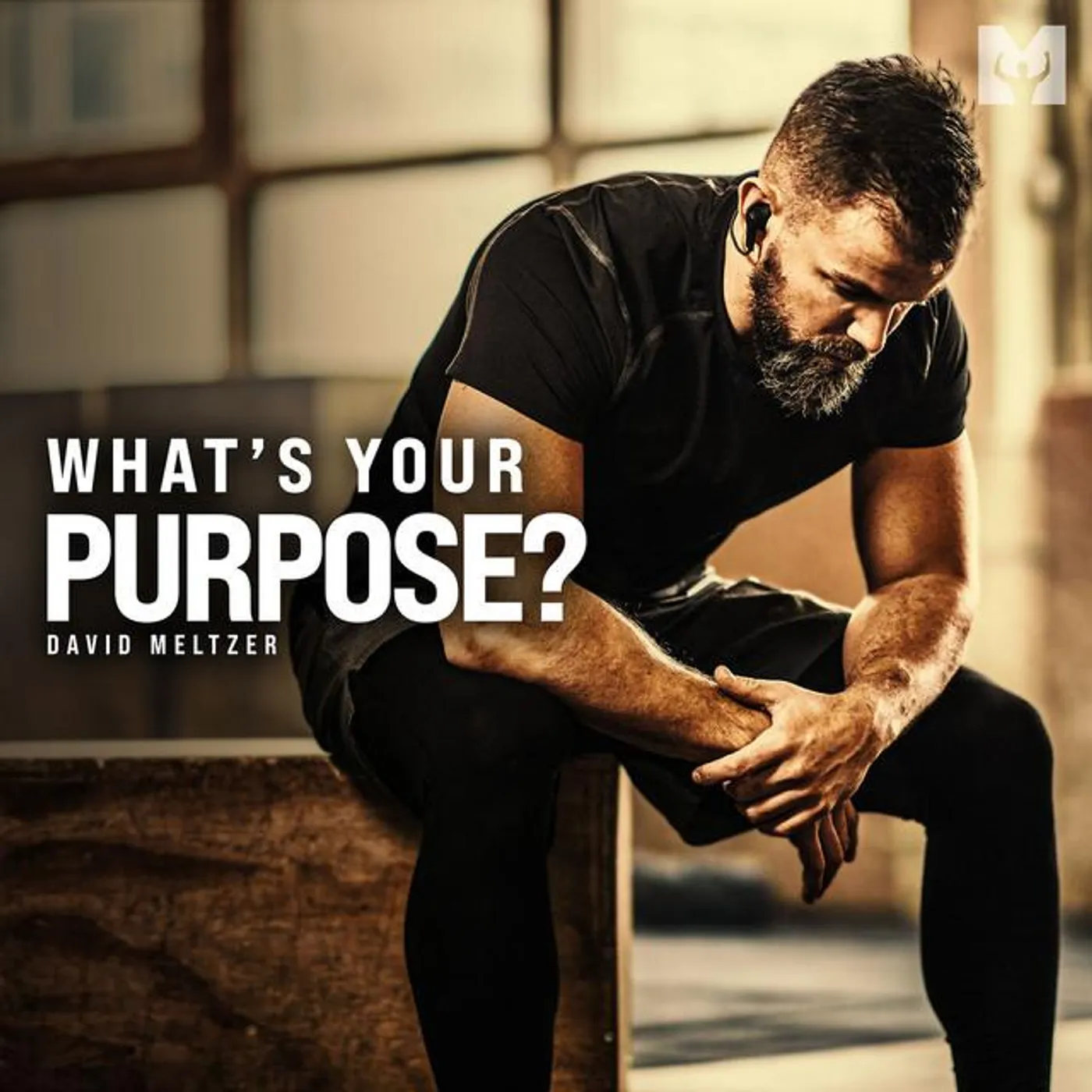 David Meltzer Brand Page