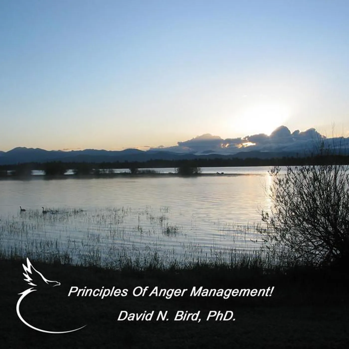 David N. Bird, PhD. Brand Page