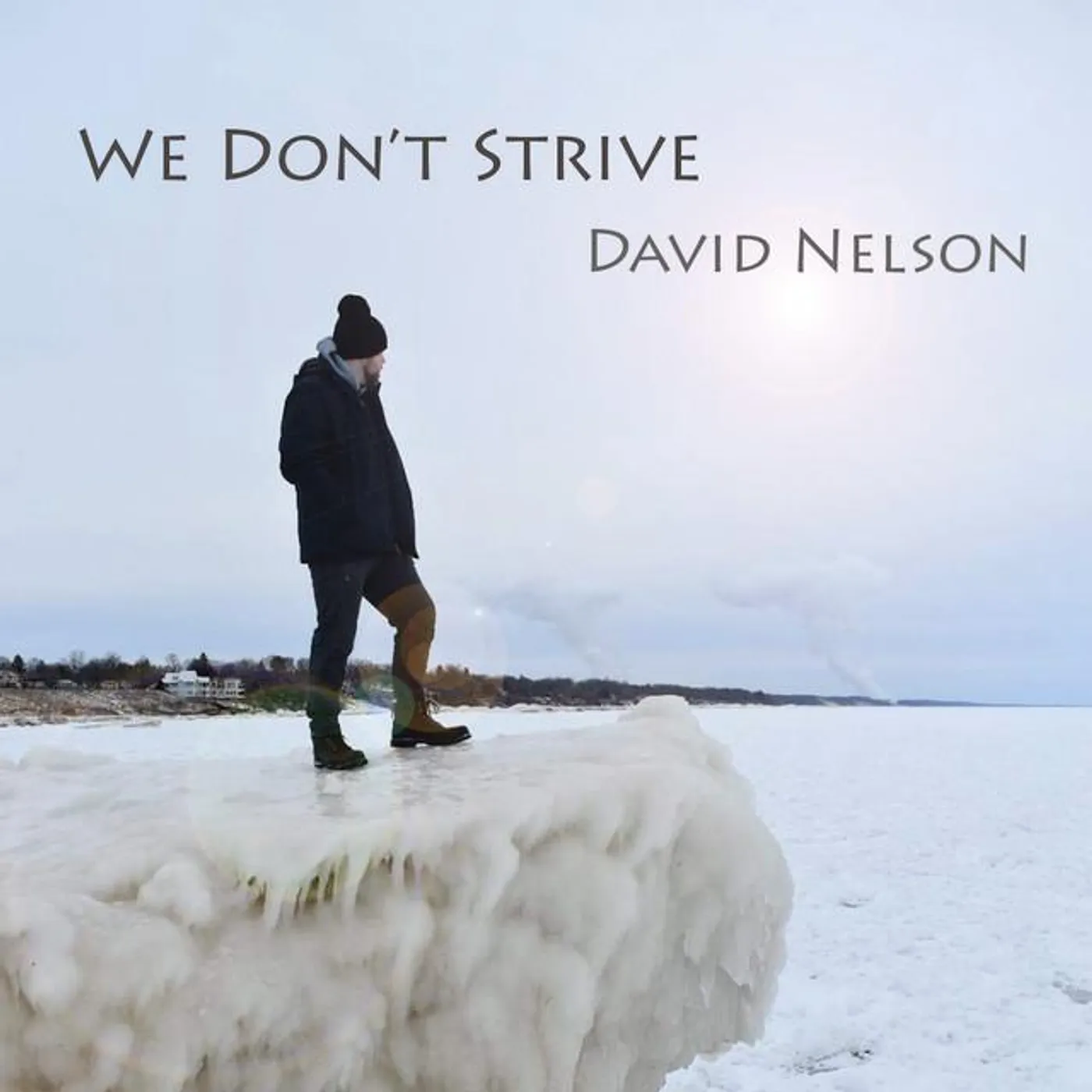 David Nelson Brand Page