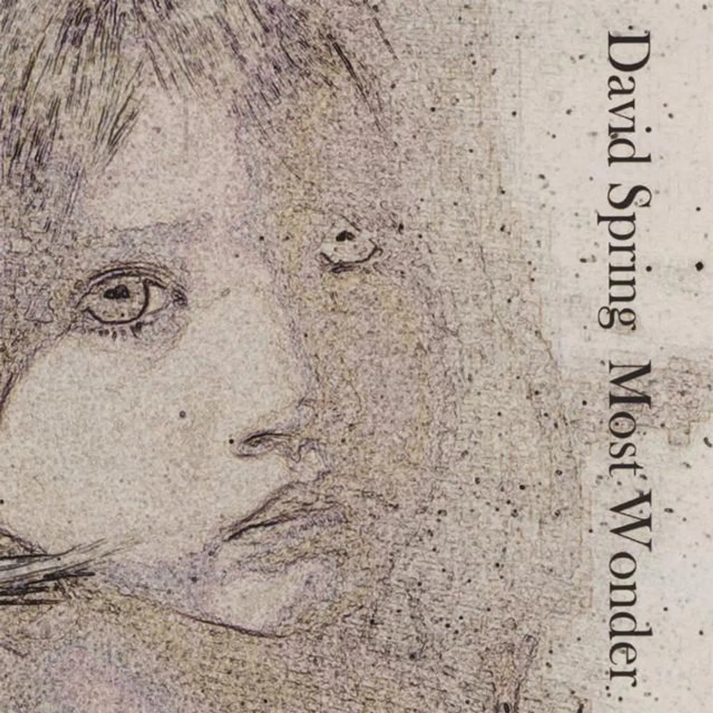 David Spring Brand Page