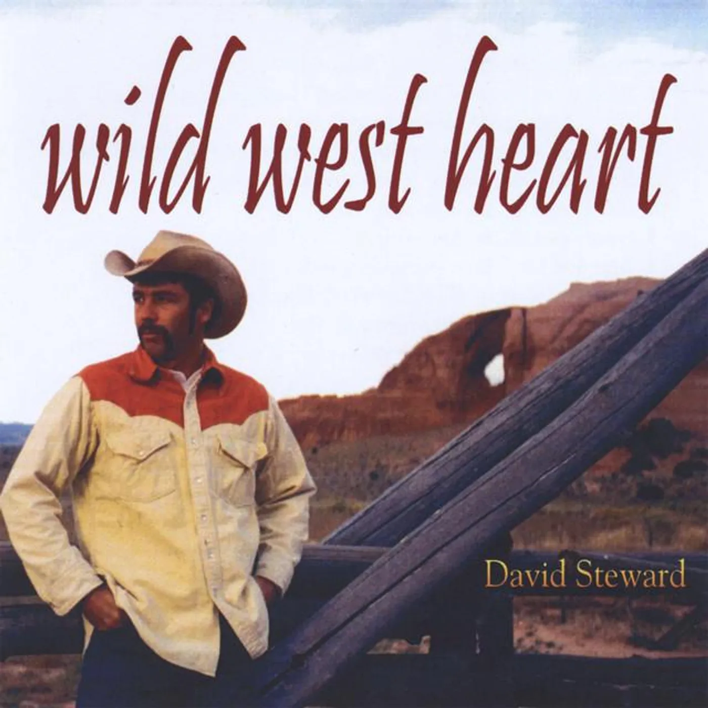 David Steward