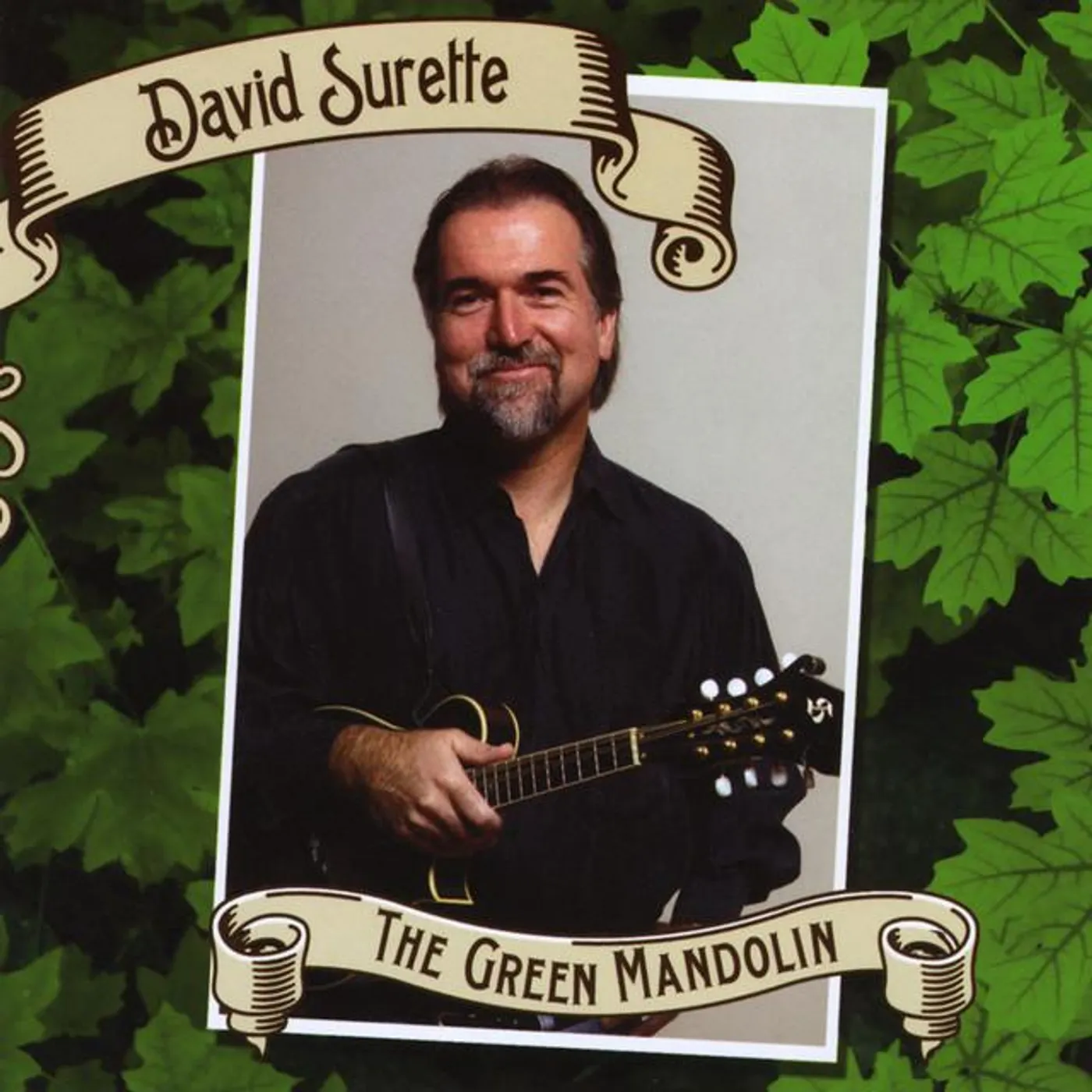 David Surette Brand Page