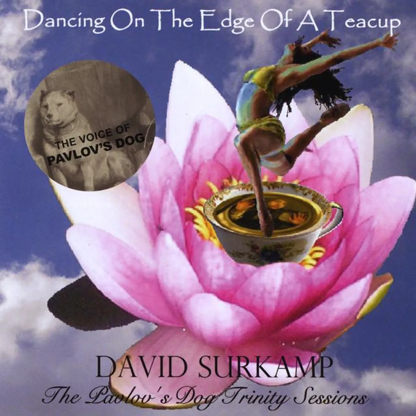 David Surkamp
