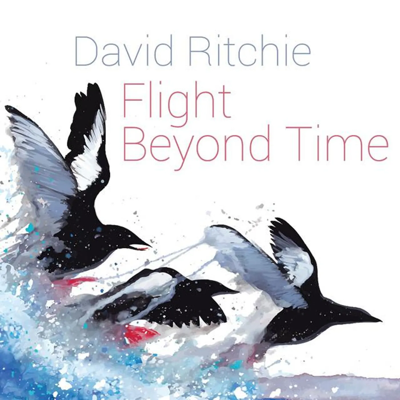 DAVID RITCHIE Brand Page