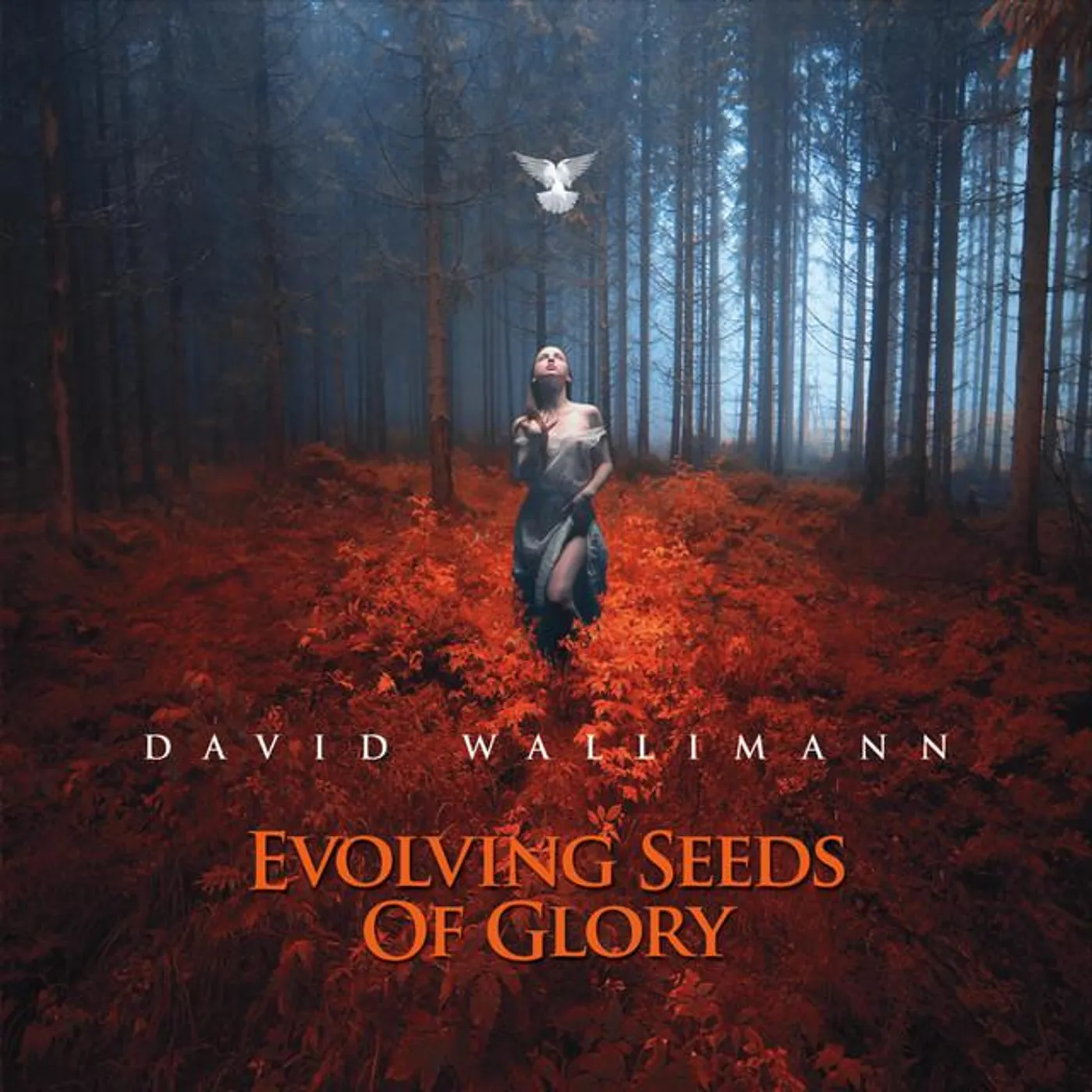 David Wallimann