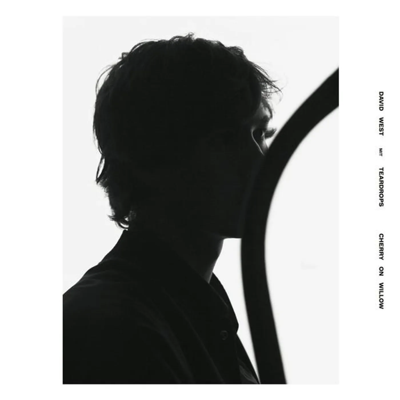 David West / Teardrops