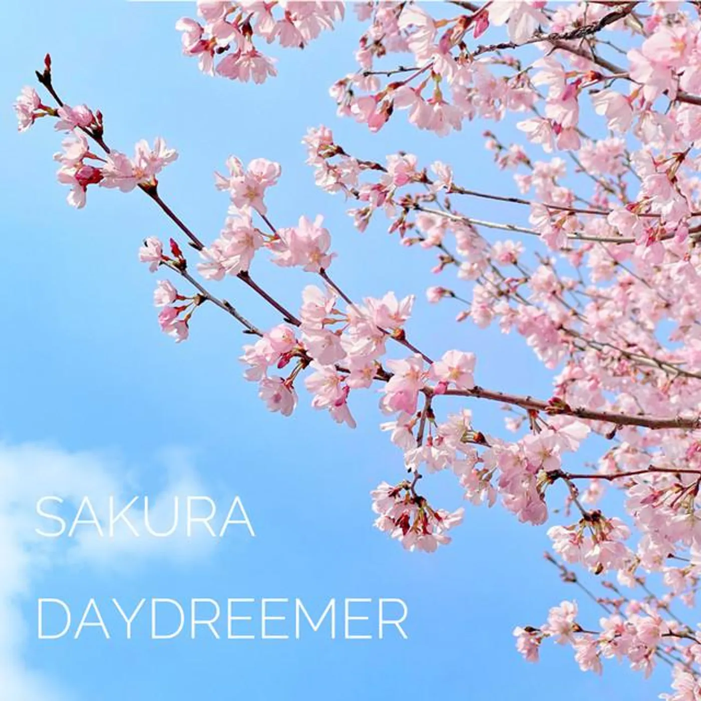 daydreemer Brand Page