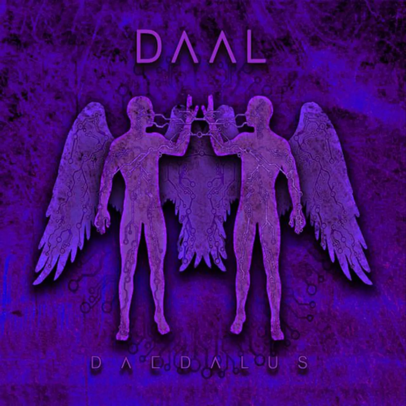 Daal Brand Page