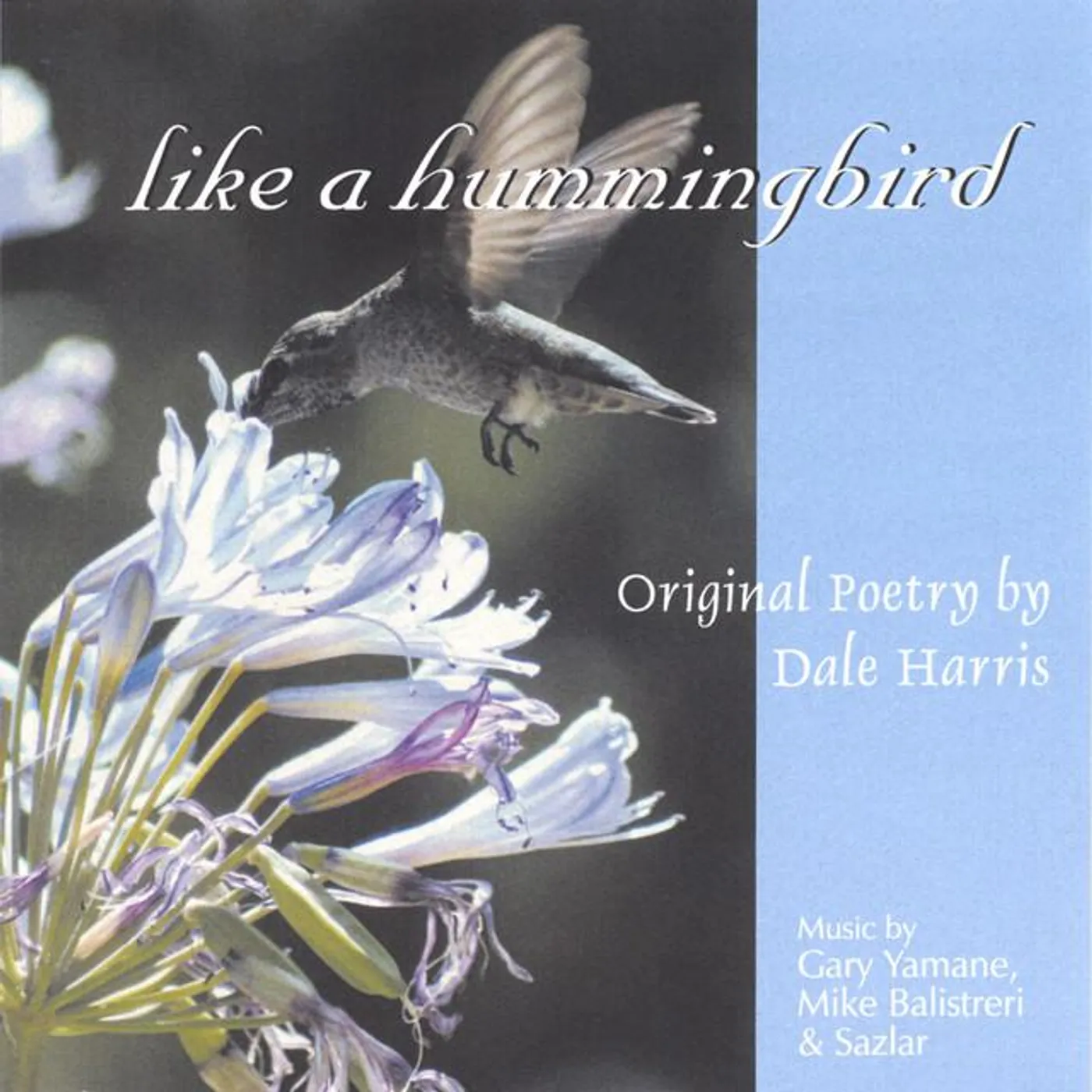 Dale Harris