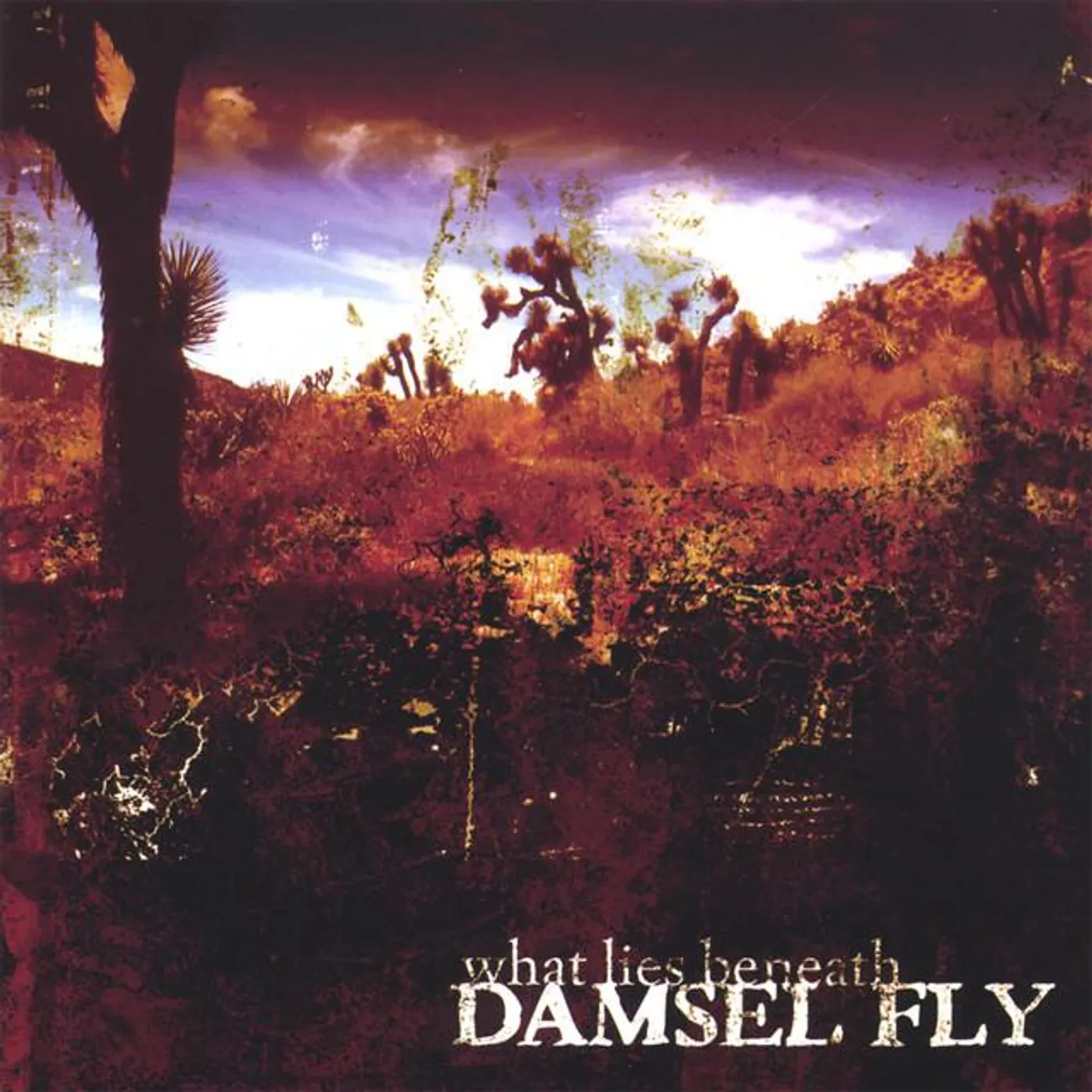 Damsel Fly