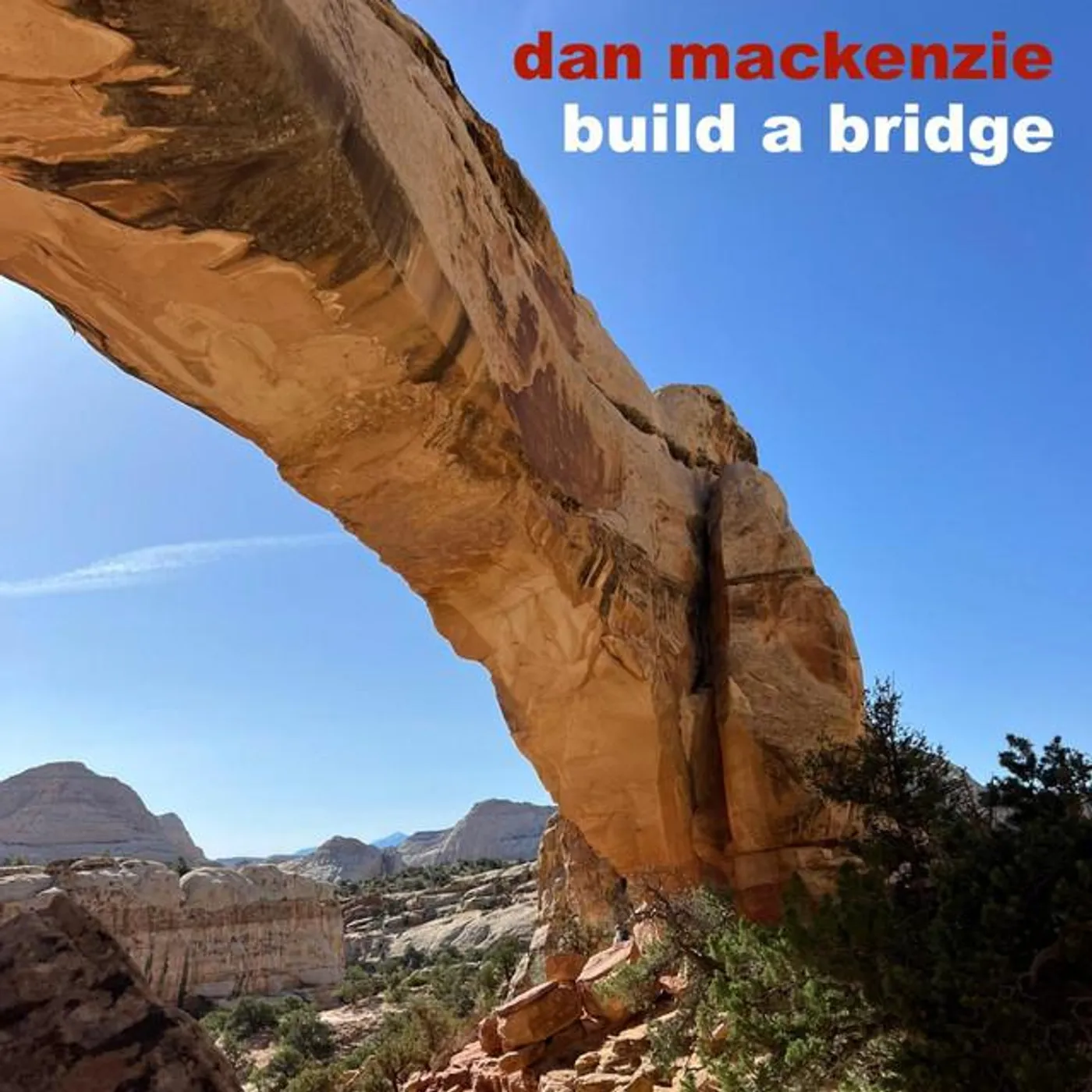 Dan Mackenzie