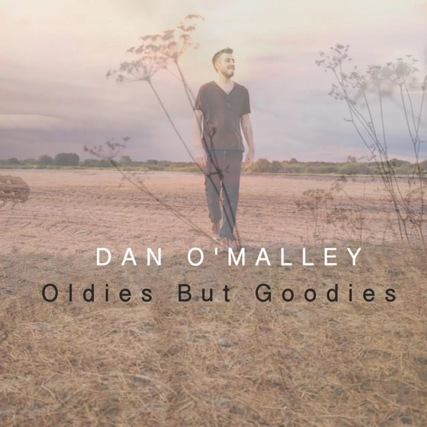 Dan O'malley Brand Page