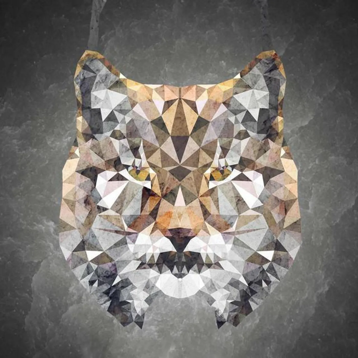Dancing Lynx Brand Page