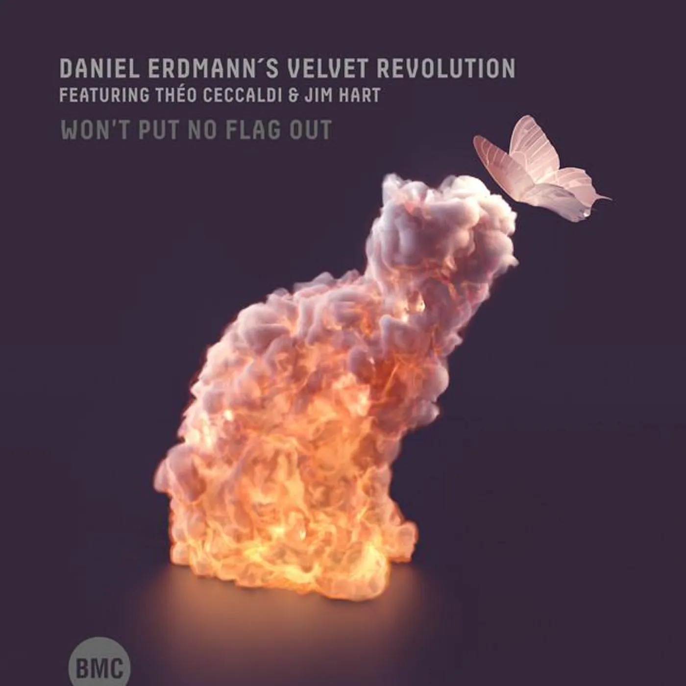 Daniel Erdmann's Velvet Revolution Brand Page