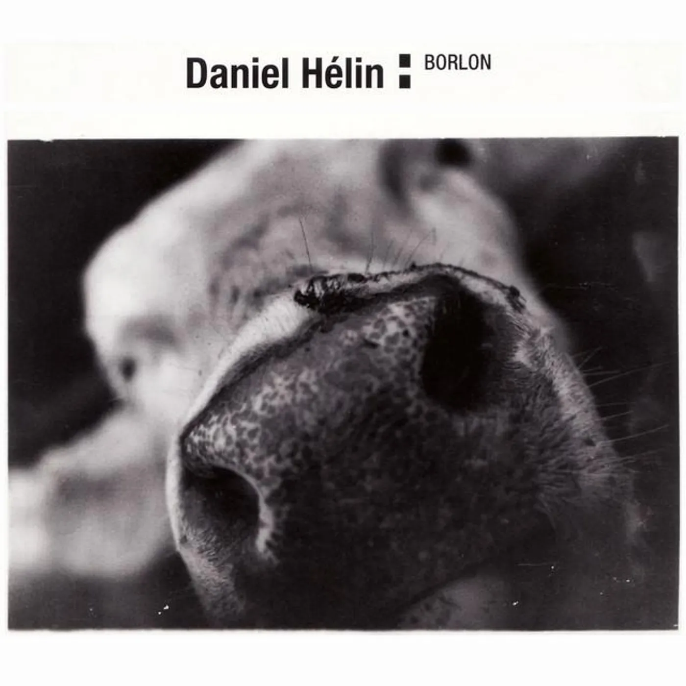 Daniel Hélin Brand Page