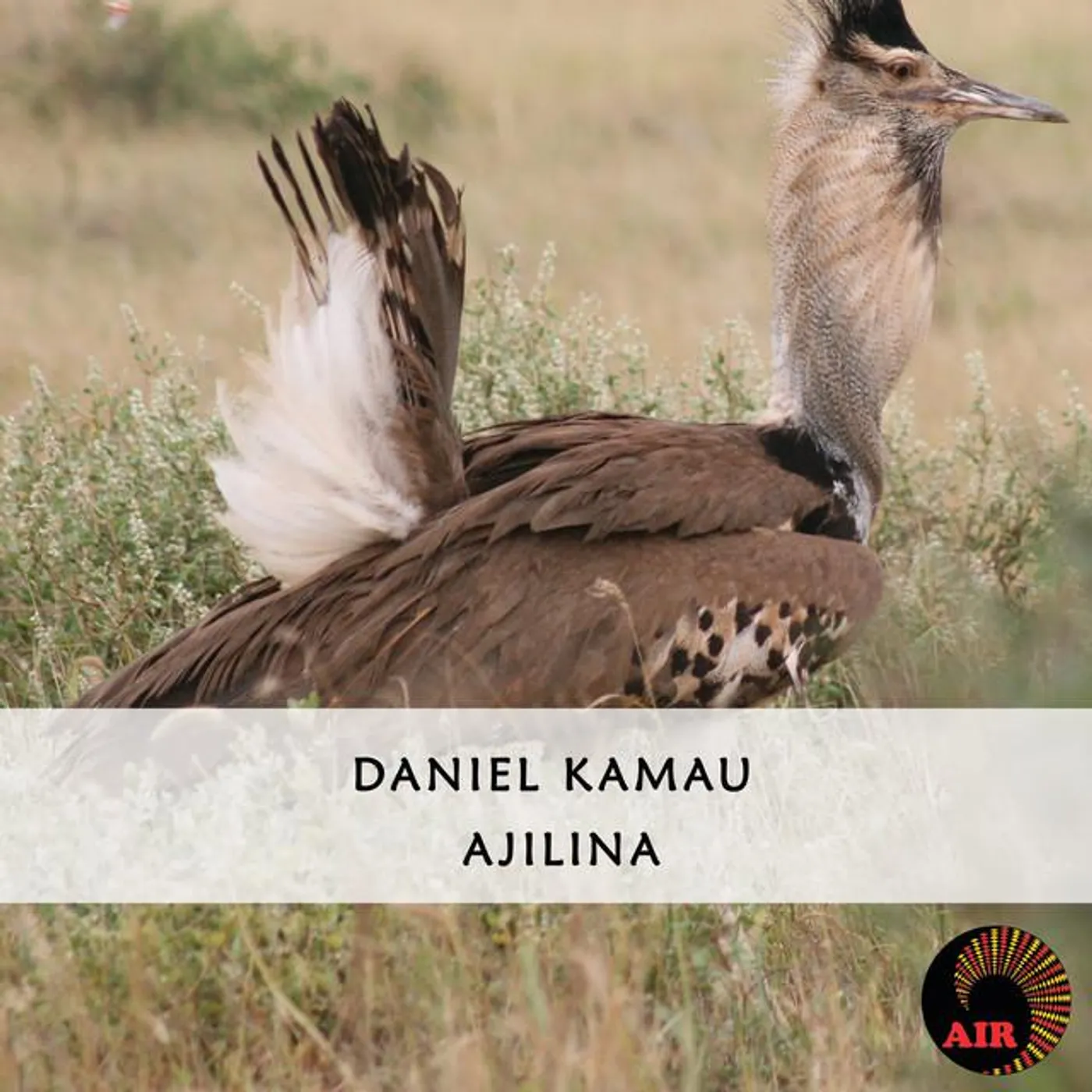 Daniel Kamau