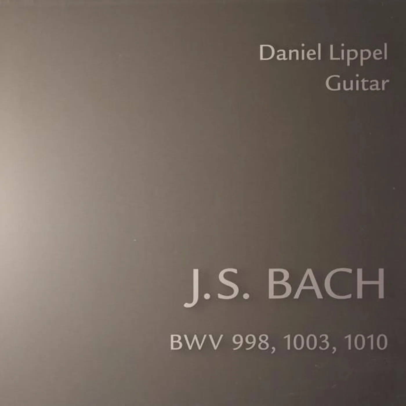 Daniel Lippel