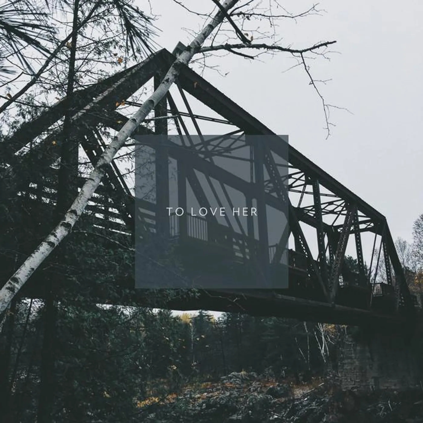 Daniel Palmquist