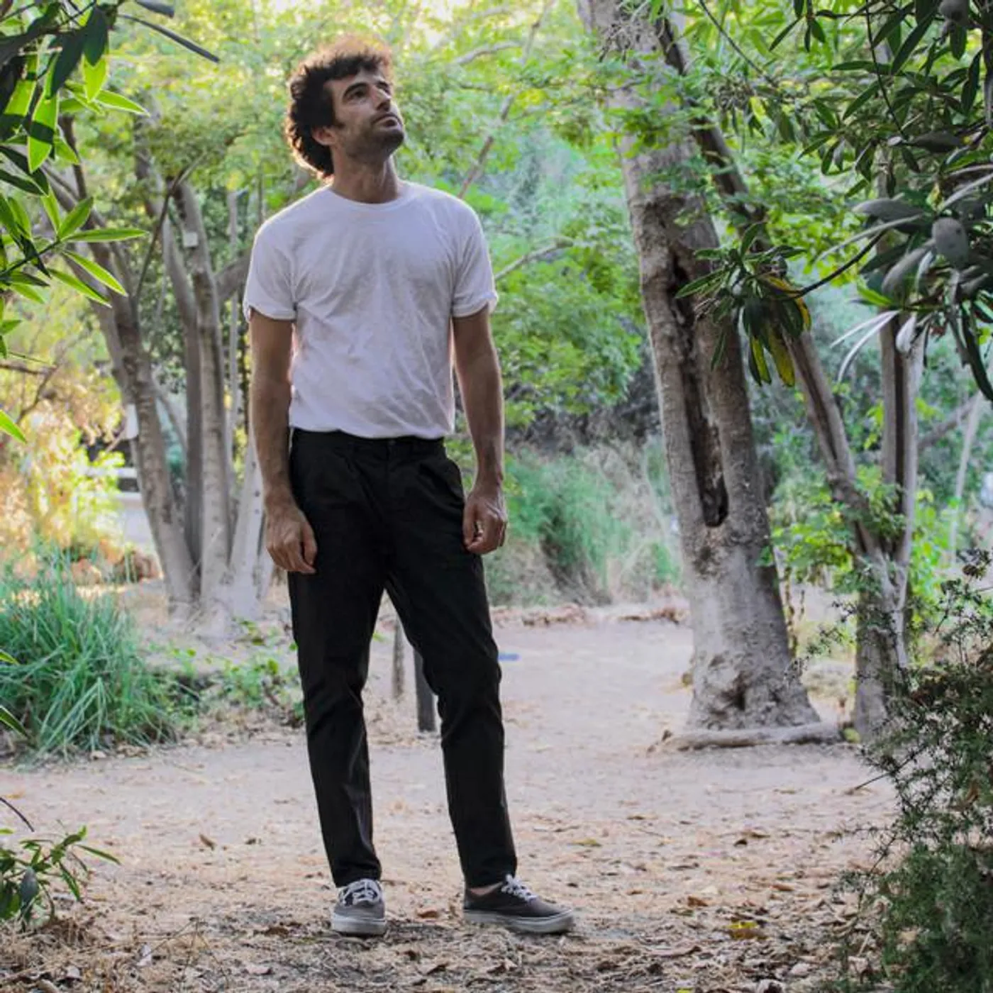 Daniel Sapir