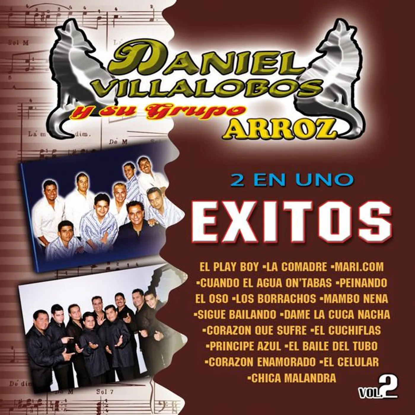 Daniel Villalobos y Su Grupo Arroz