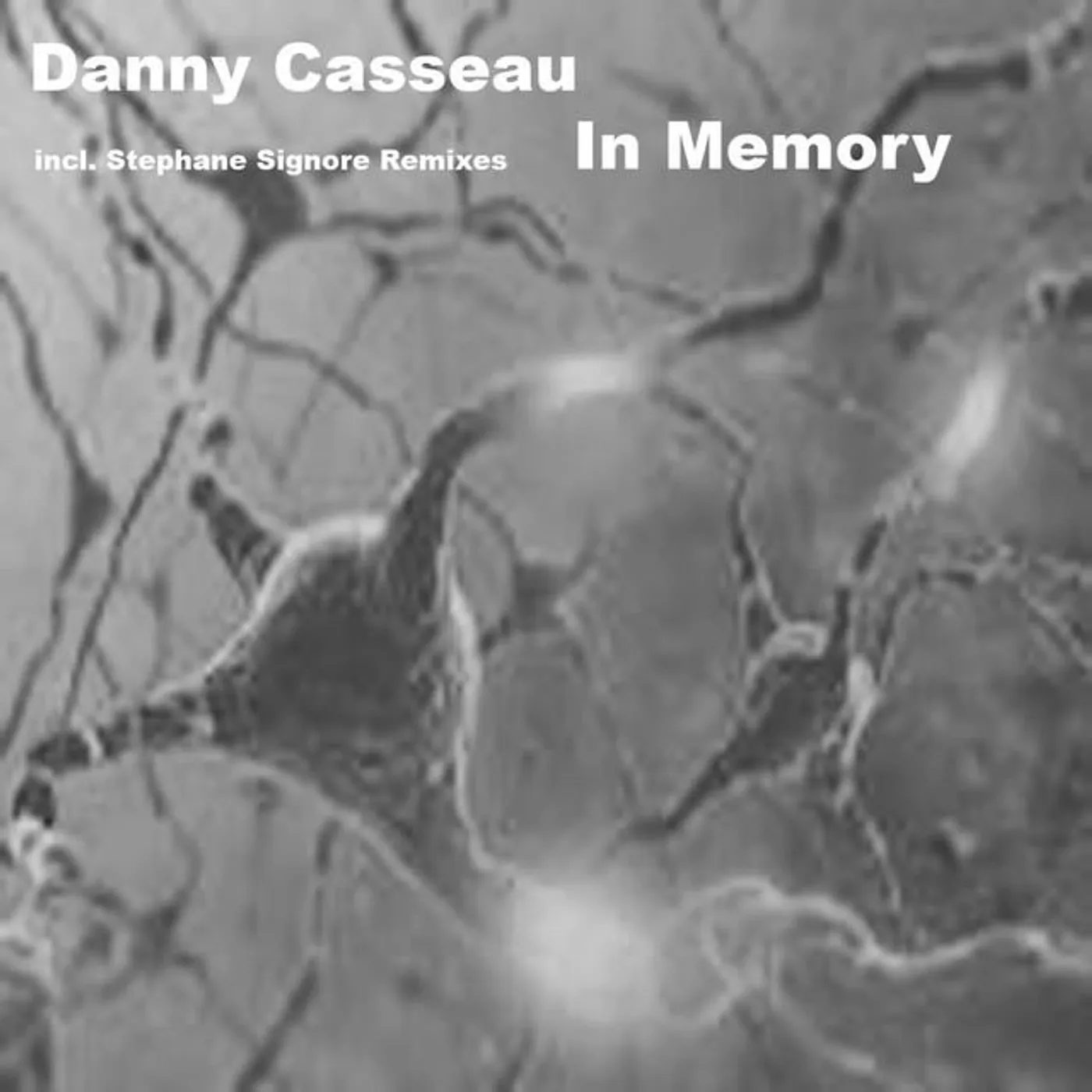 Danny Casseau