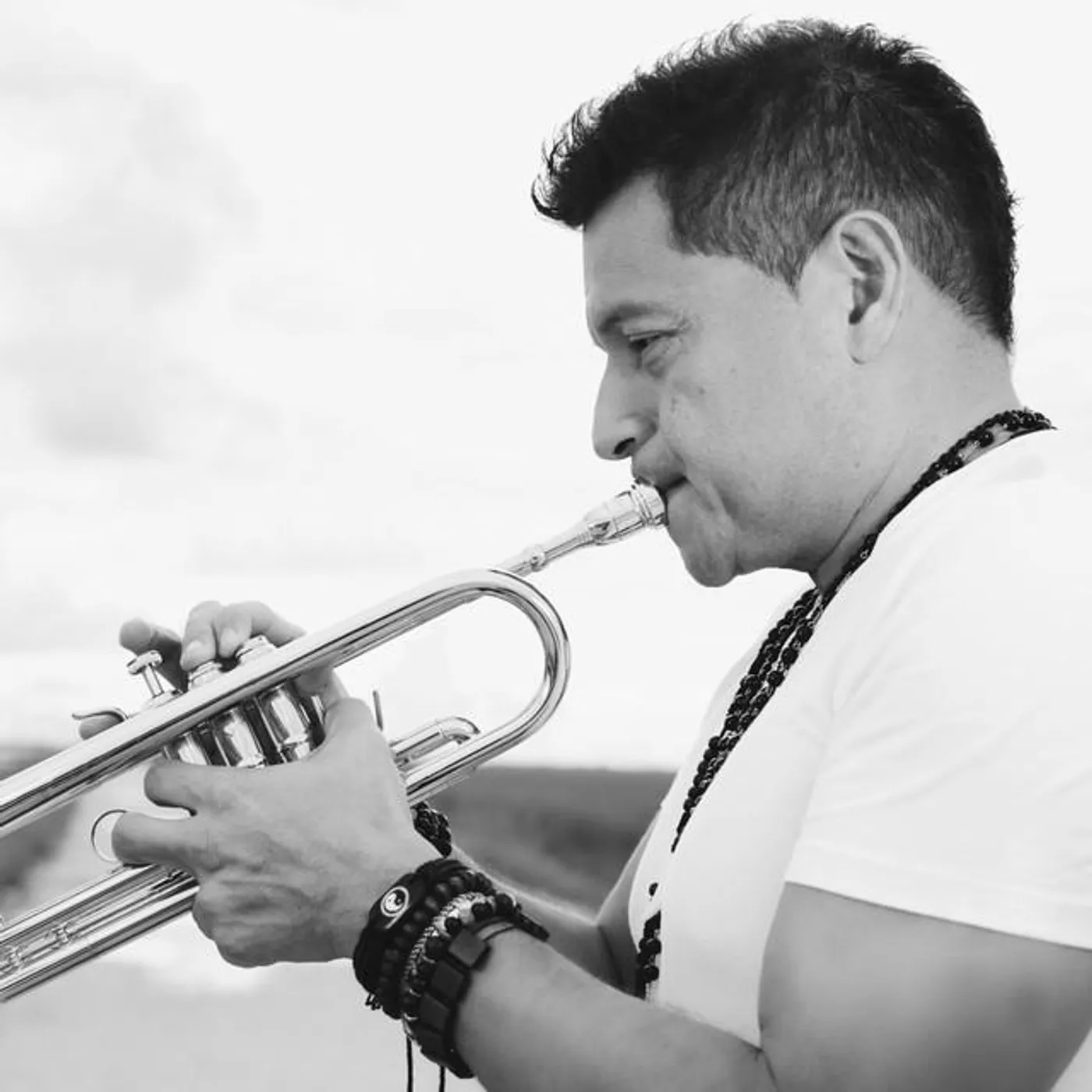 Dante Vargas & The Cat Band Brand Page