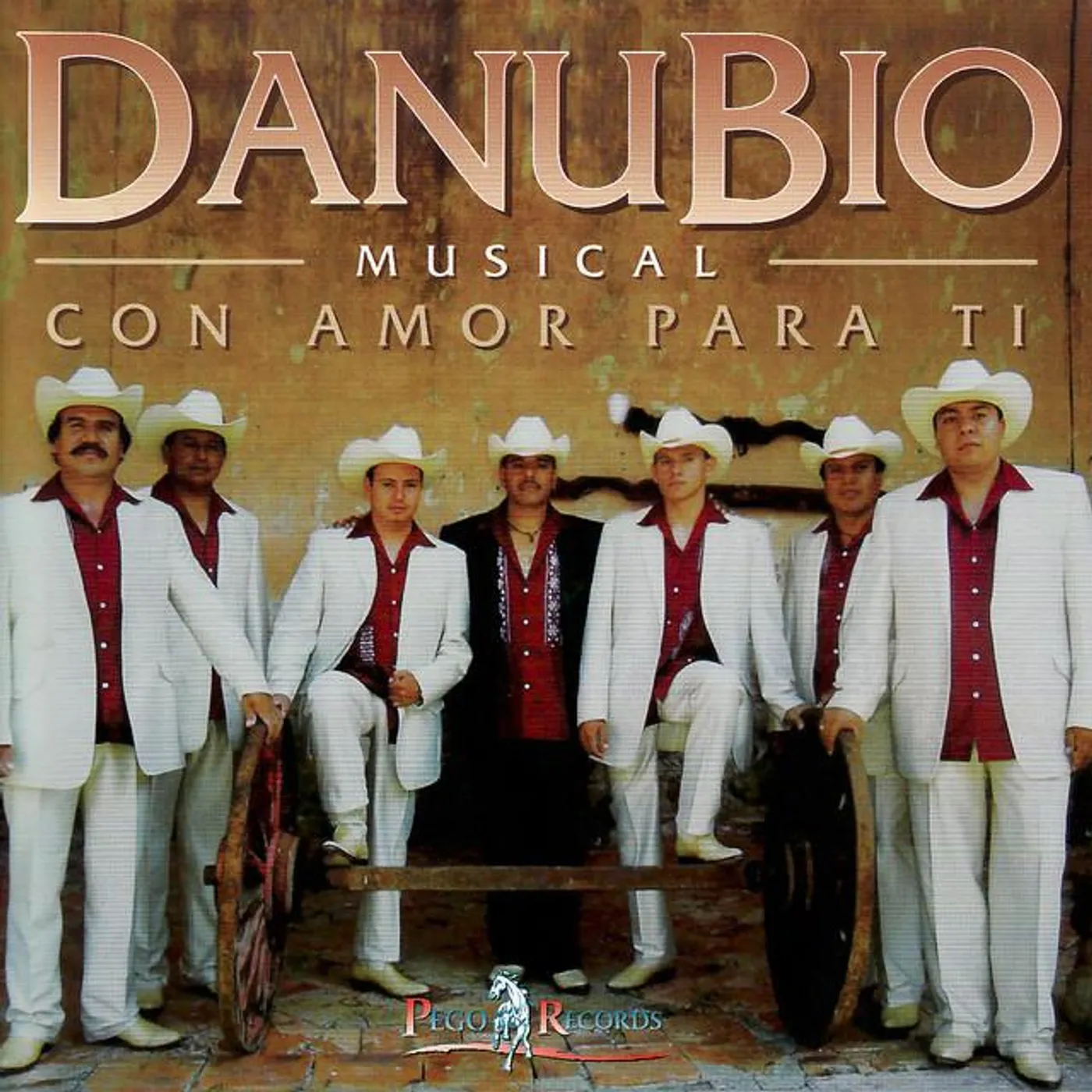 DanuBio Musical Brand Page