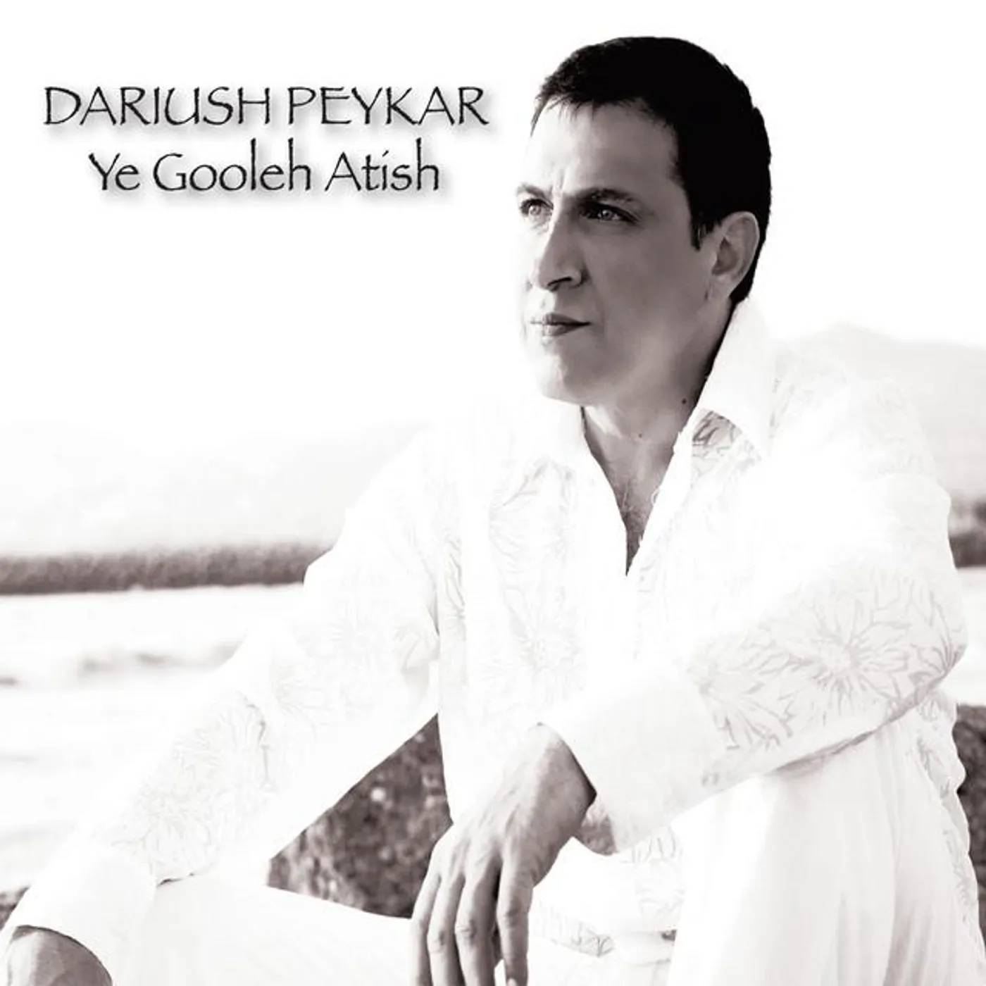 Dariush Peykar