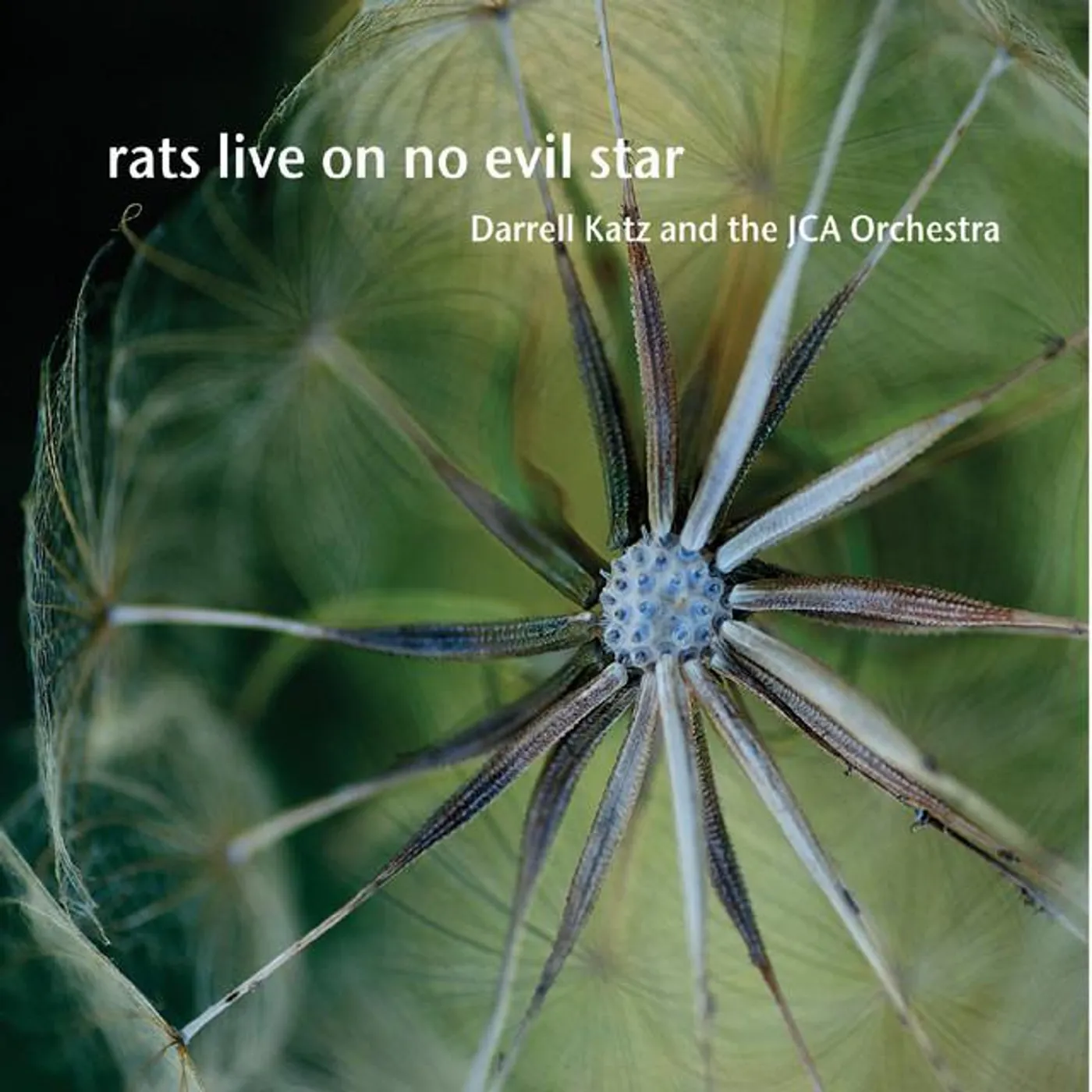 Darrell Katz and the JCA Orchestra