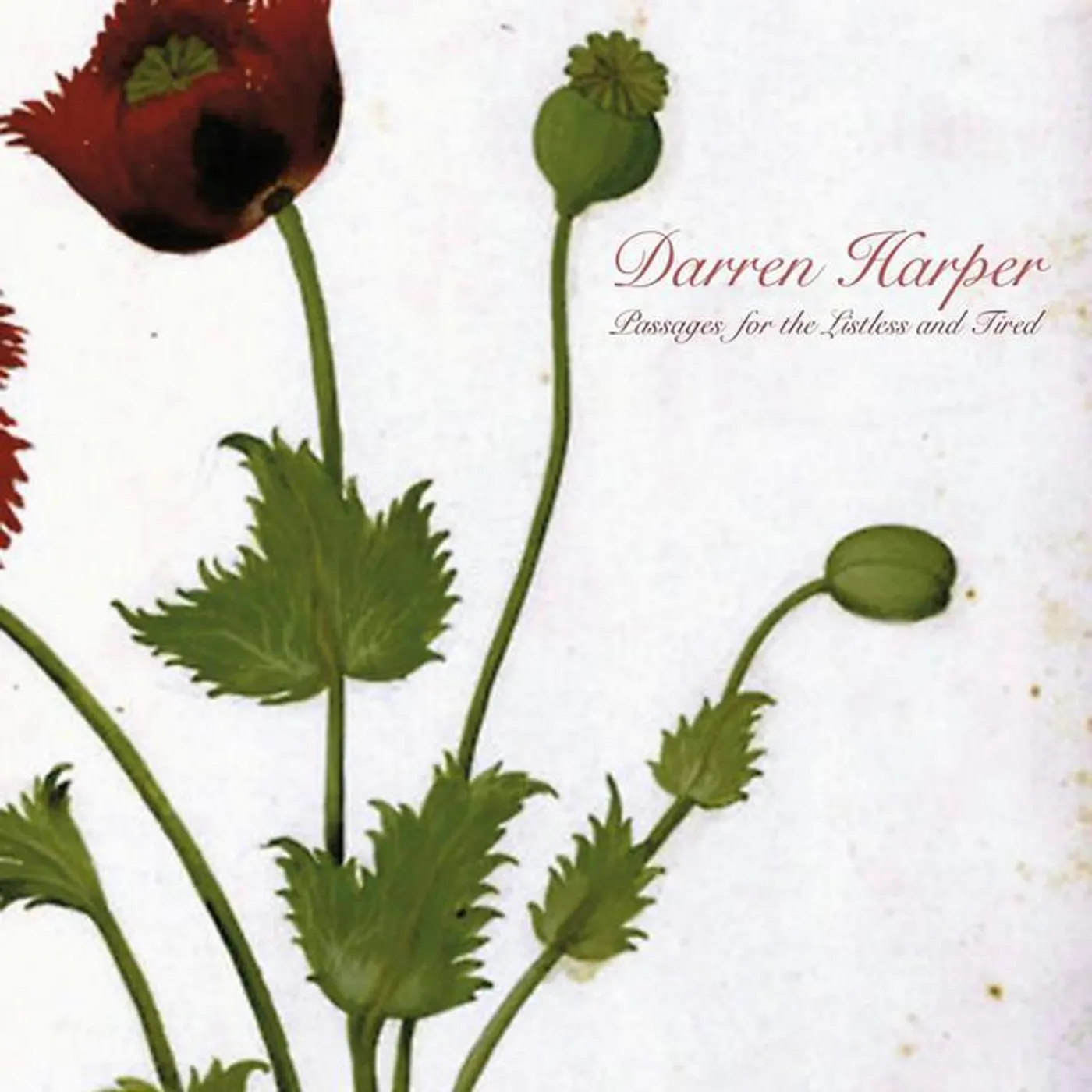 Darren Harper
