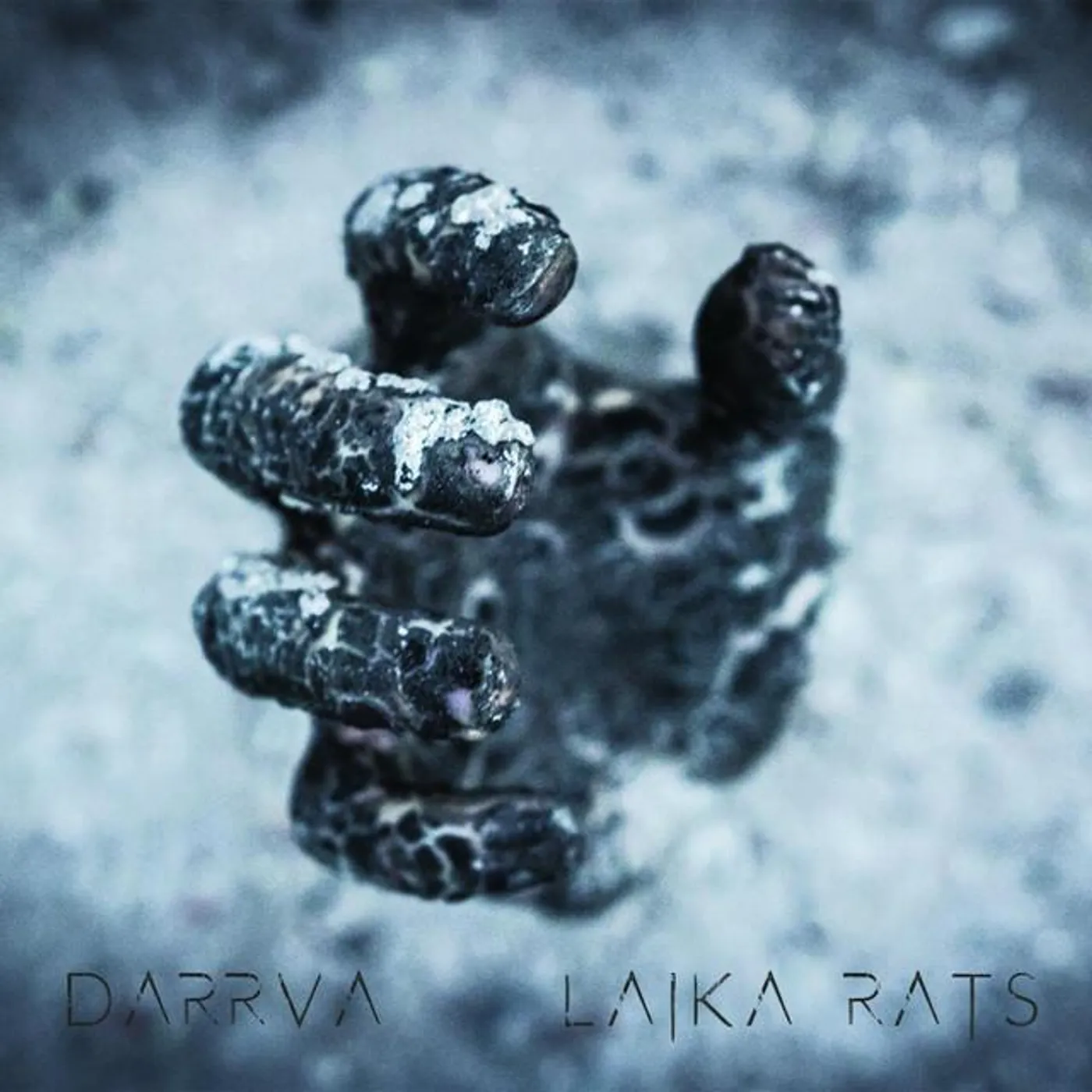 DARRVA