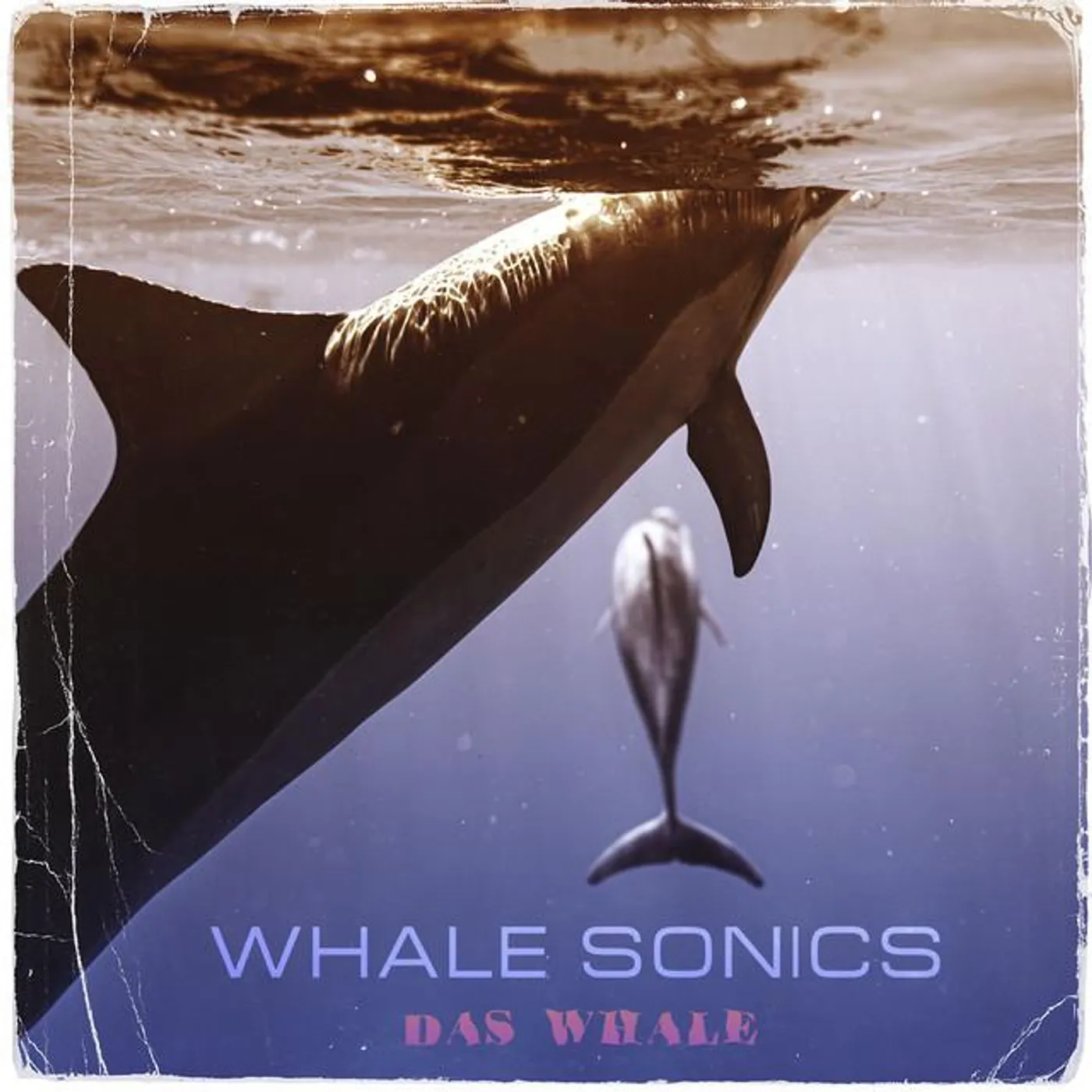 Das Whale