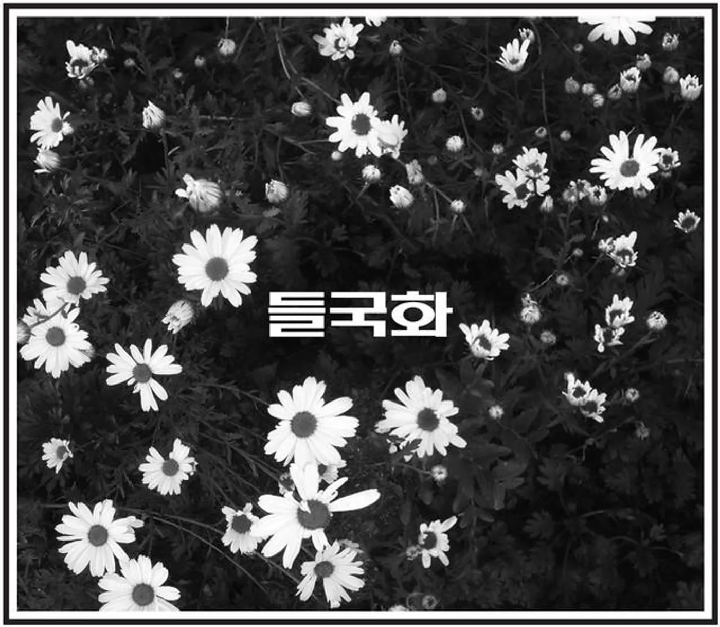 Deul Guk Hwa